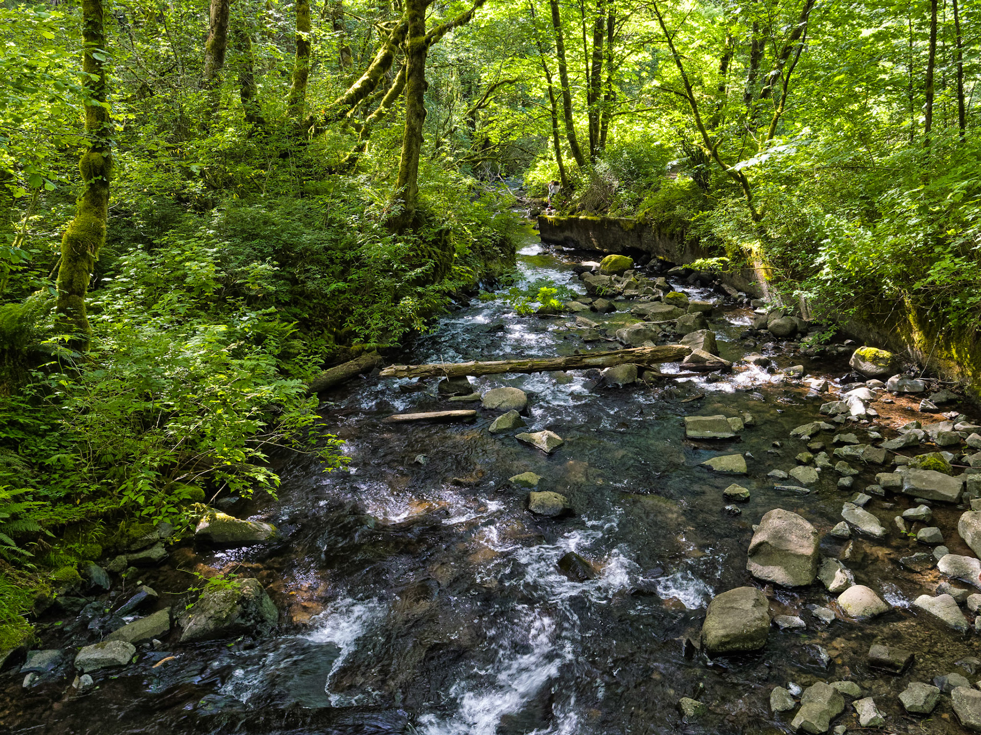 OR Portland 00058