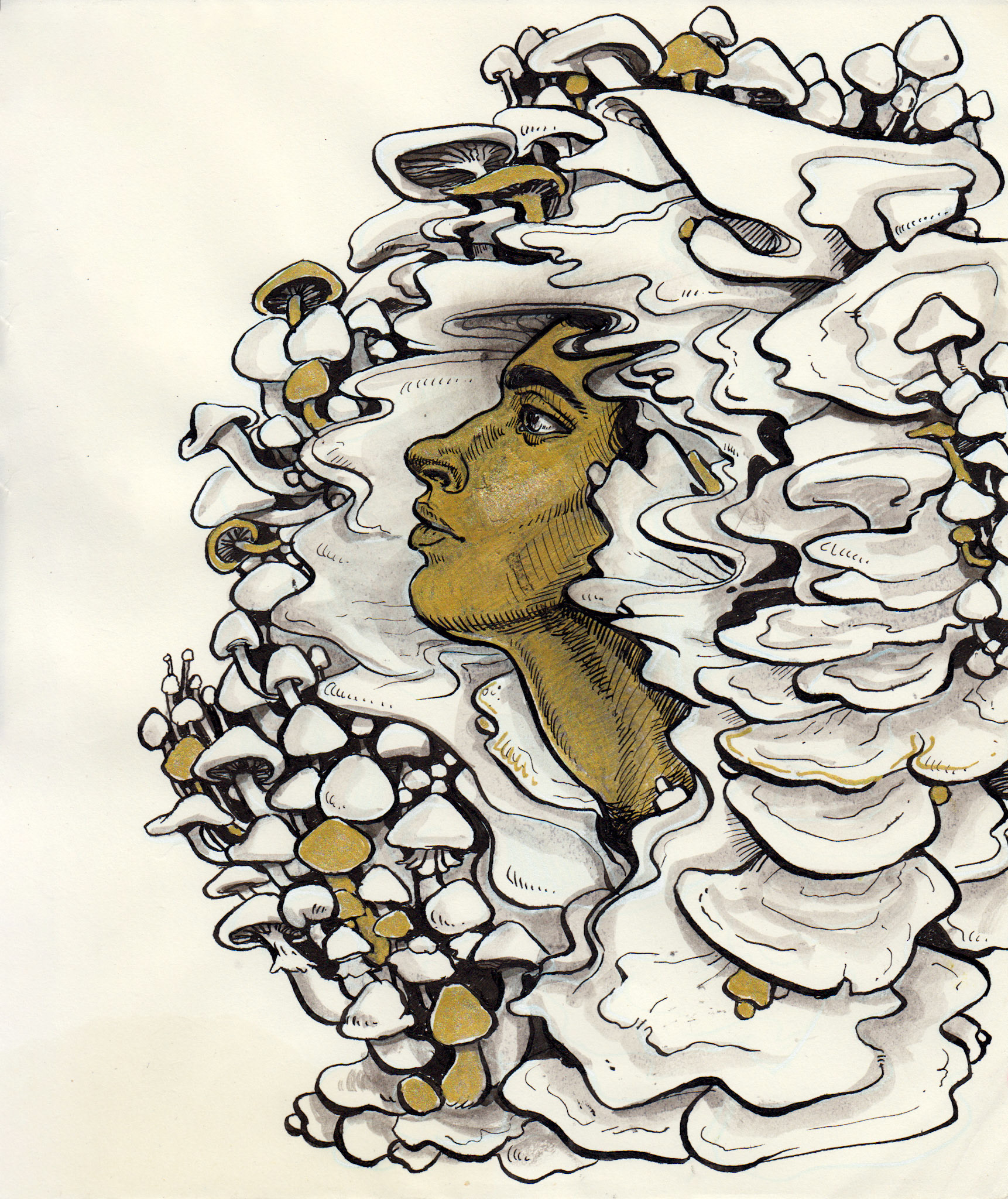 "Mycelium"