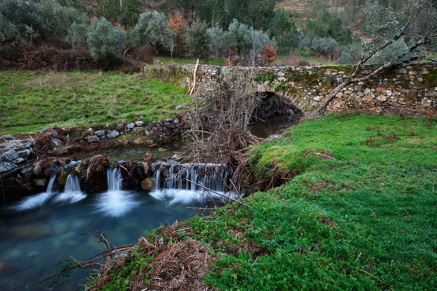 Ribeira Cimeira