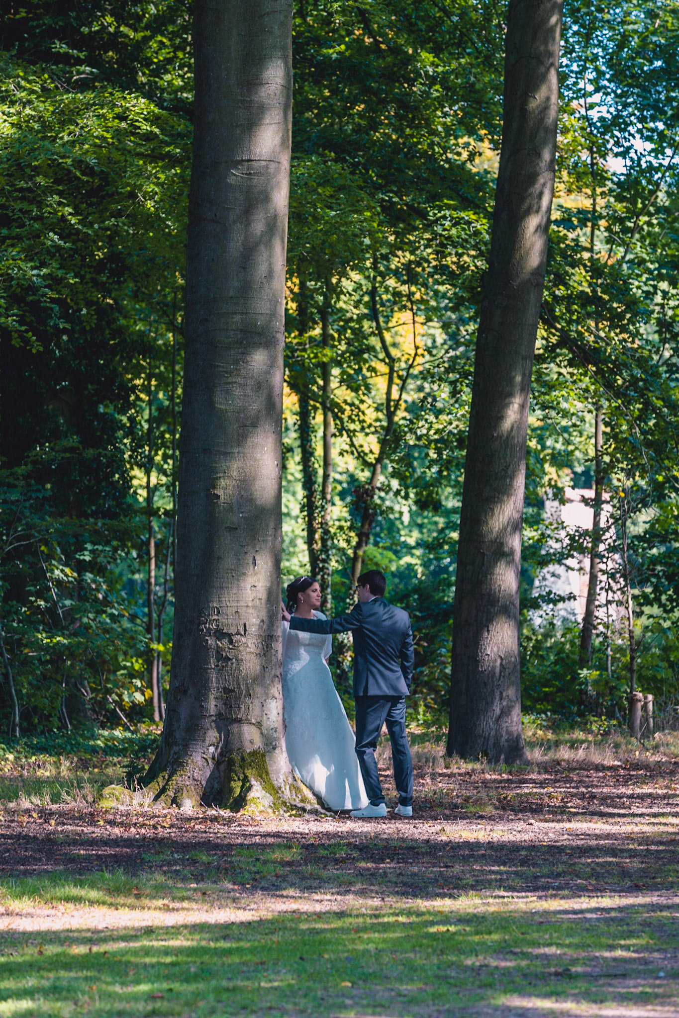 bruidspaar onder de boom