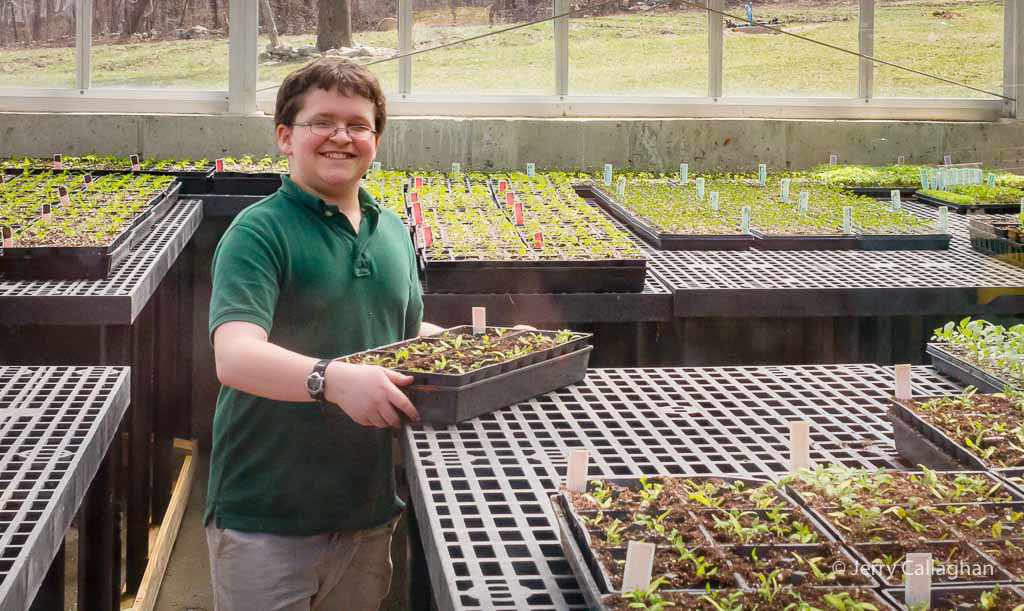 Community Harvest Project North Grafton, MA