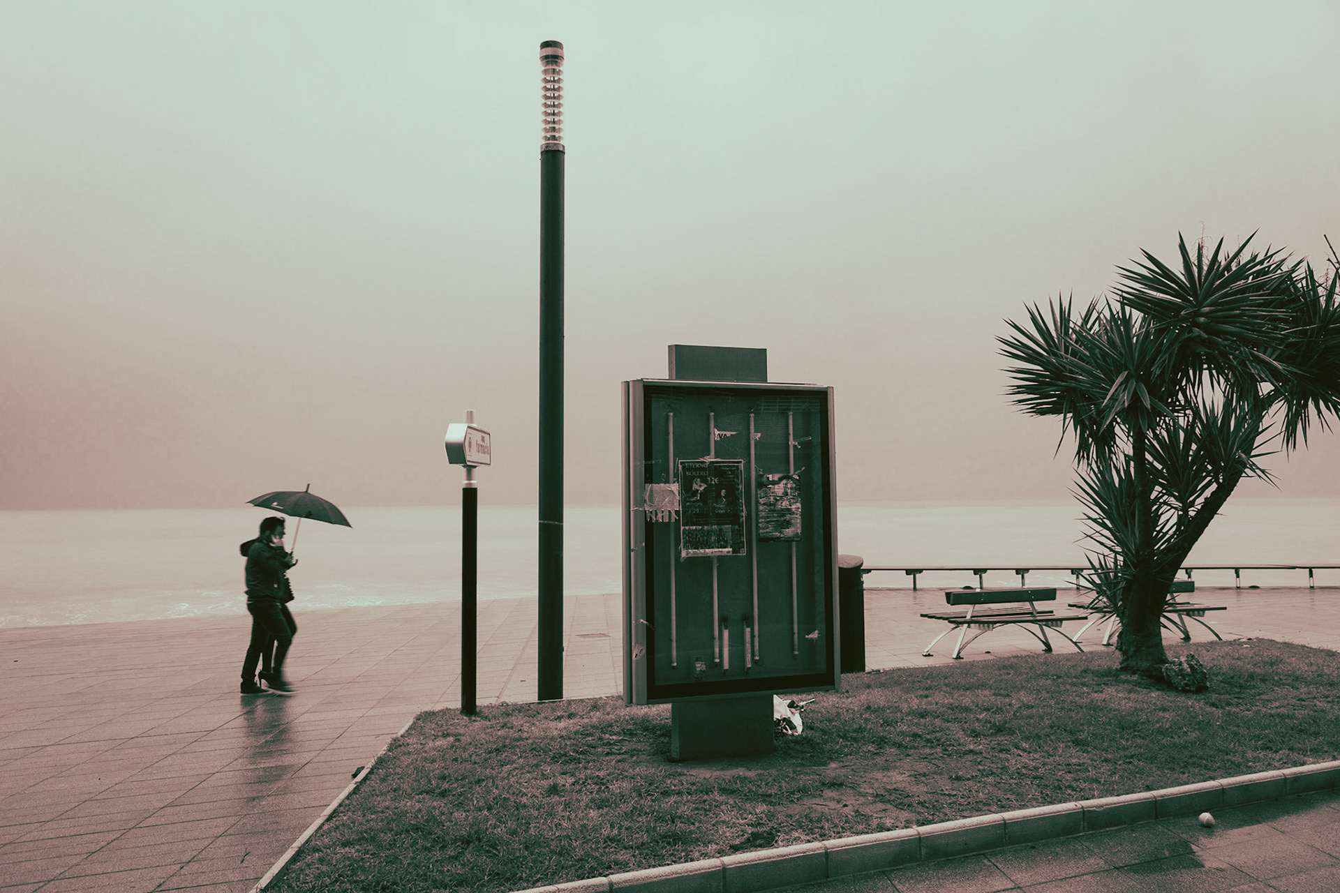 Photographed in Torrevieja, Valenciana.