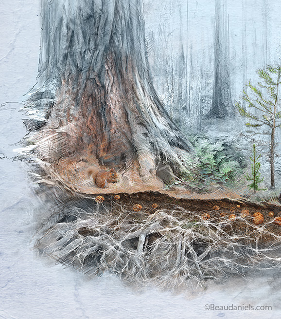 Close up, talking trees infographic