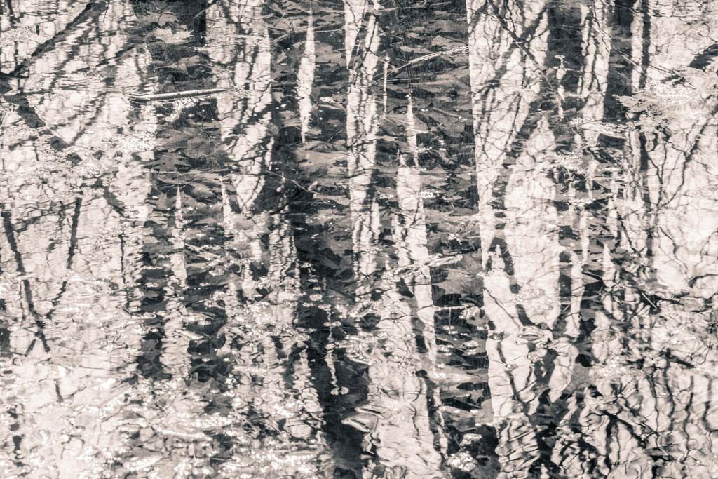 Wabi-Sabi