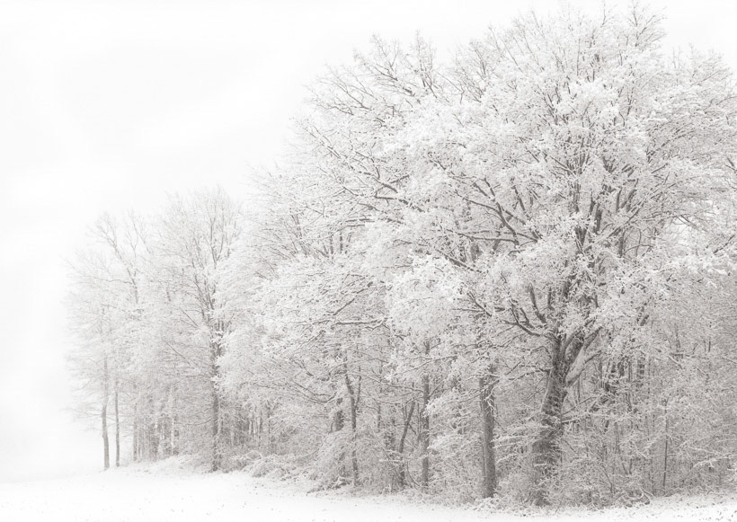Winter Storm, near Stevenson Lake