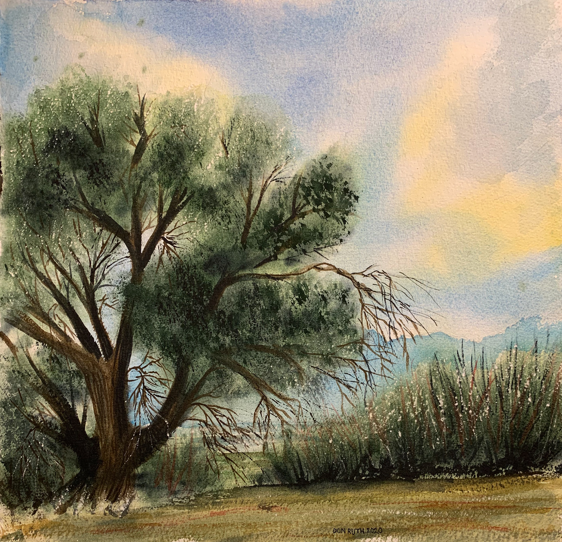 Harper Lake Tree Watercolor Don Ruth the Works