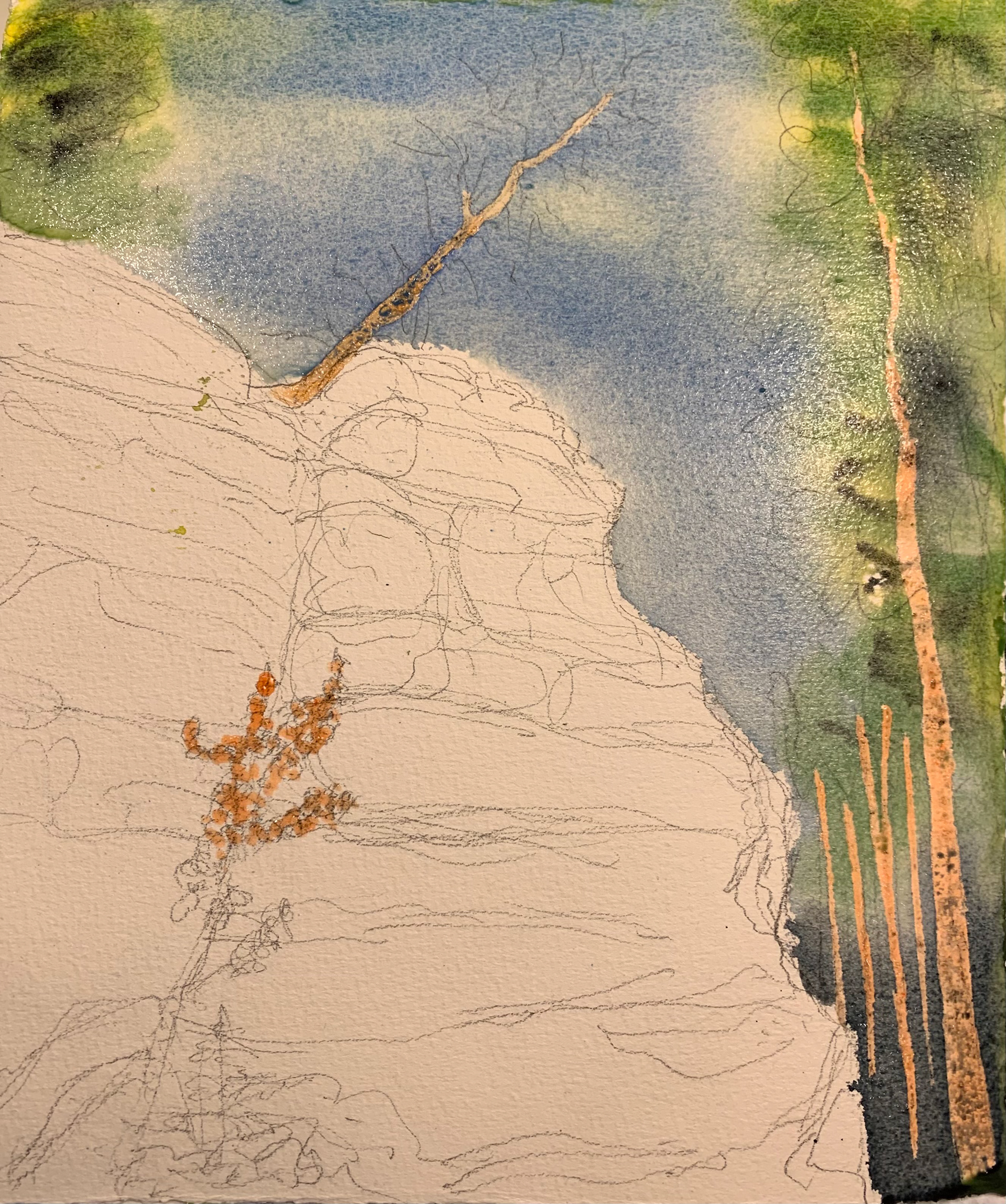 Washes of sky and trees