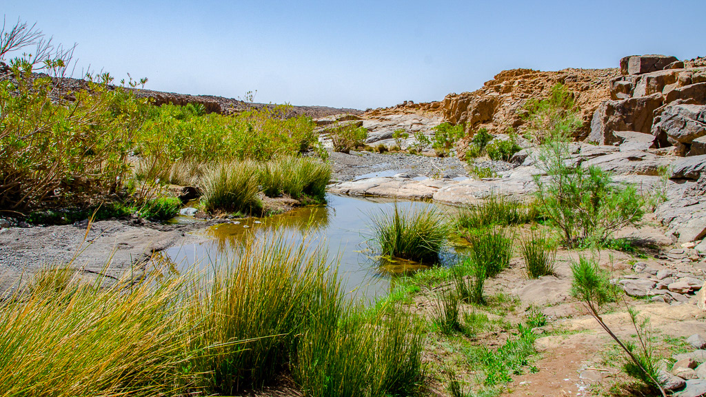 Philippe Jeanty - Algeria, Tamanrasset