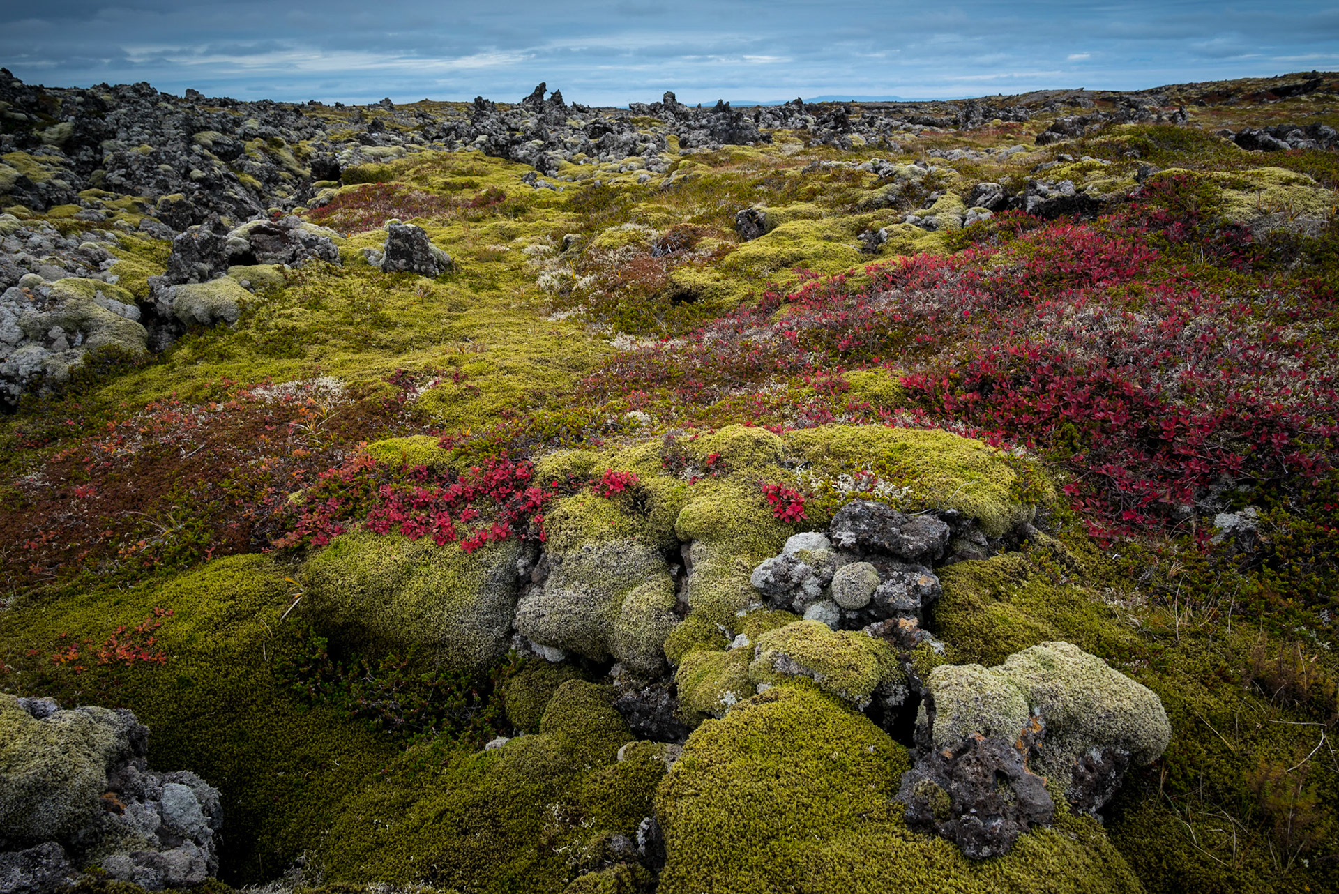 Lava field, Snæfellsnes