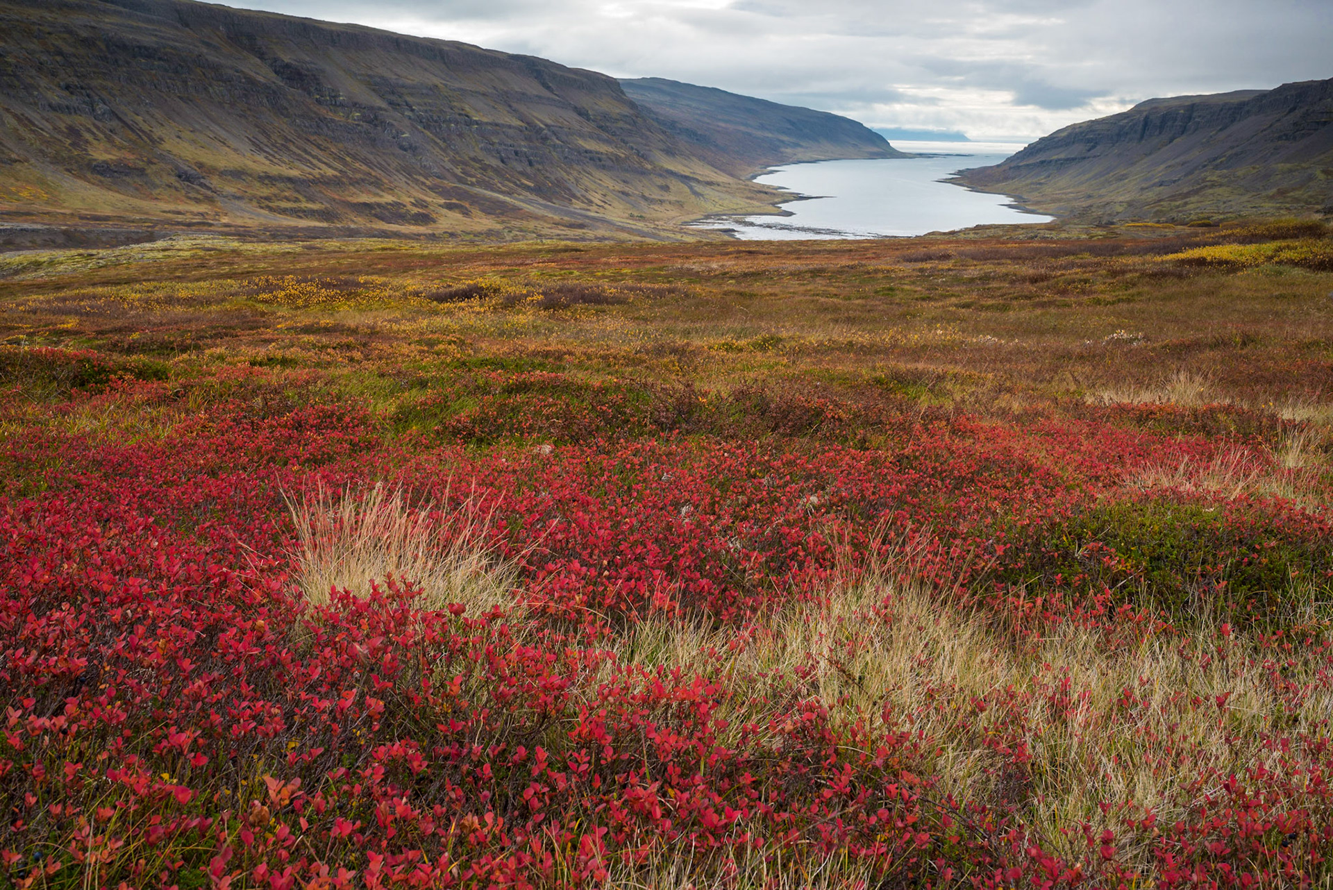 Breiðidalur and Kvígindisfjörður, Westfjords