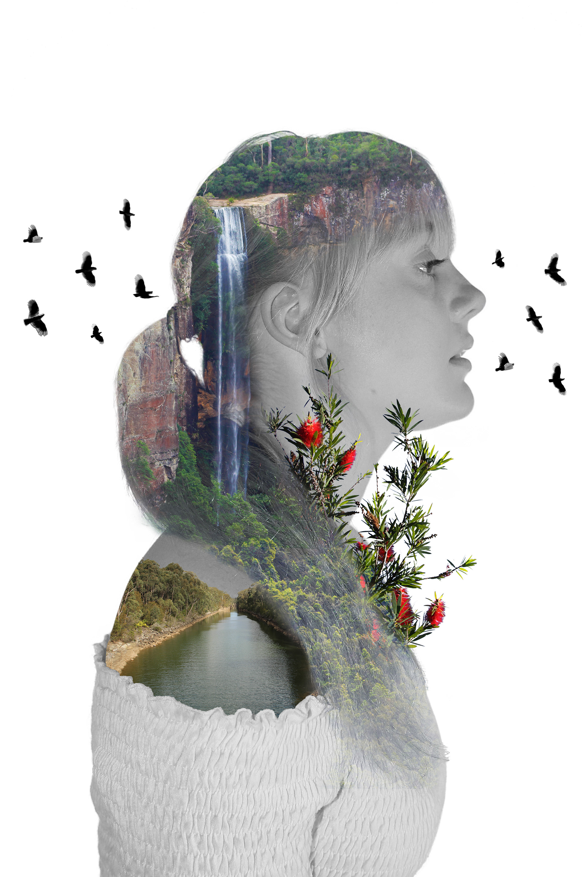 'Seeds of Thought' 03