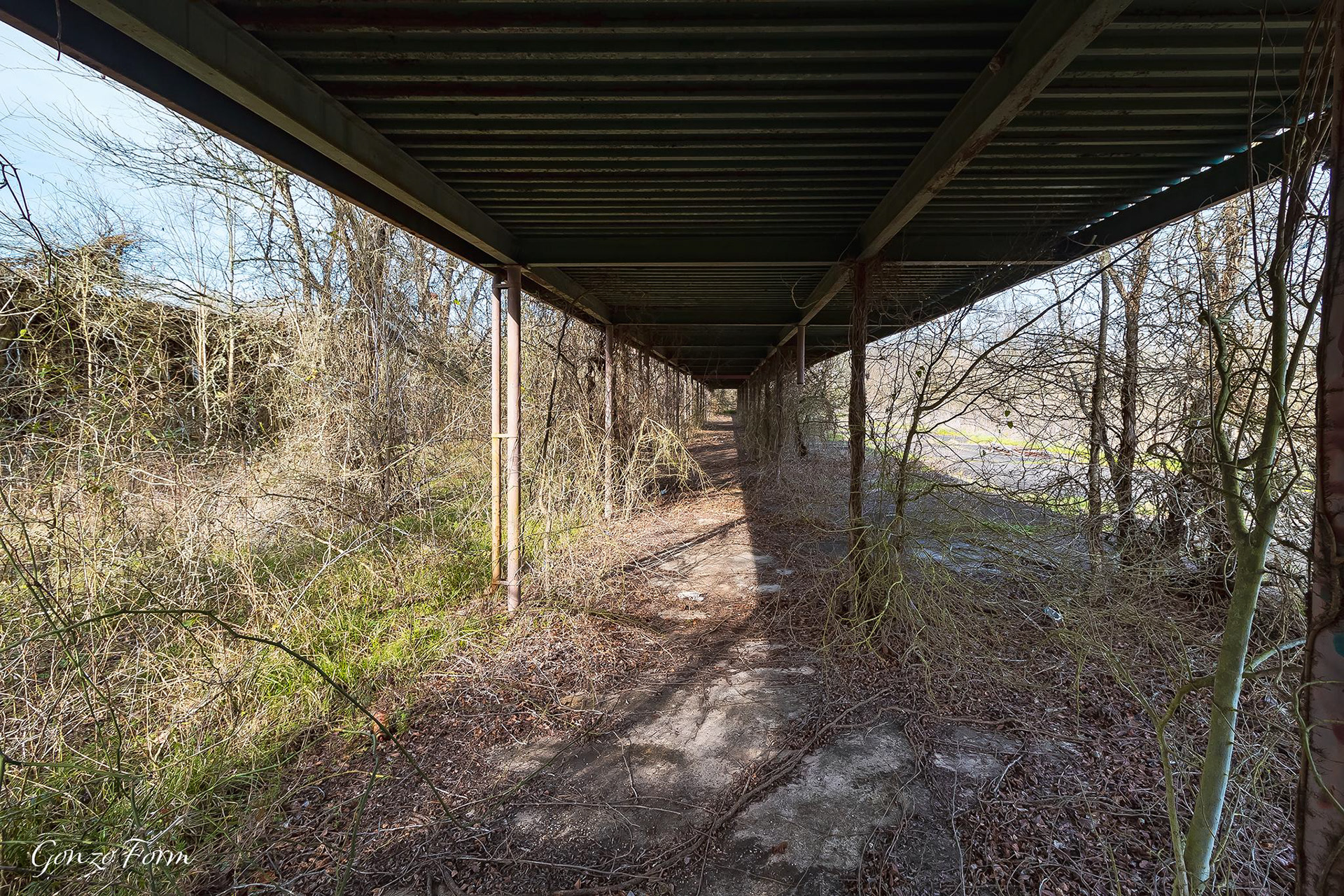 Gonzo Form Old Ellerbe Road School