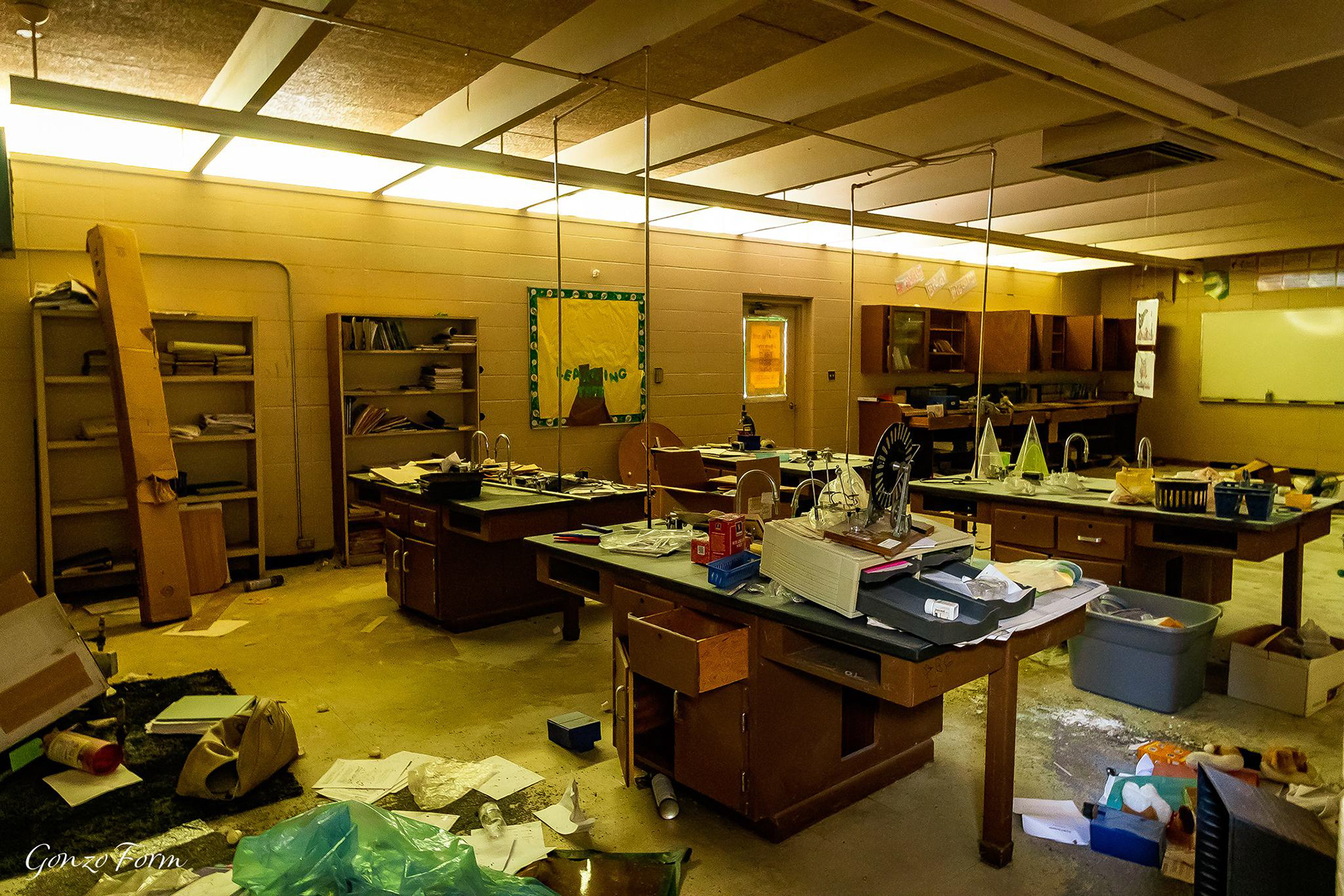 Gonzo Form Bernice High School