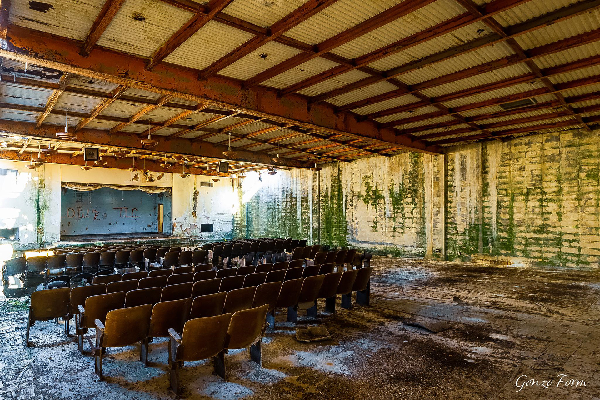 Gonzo Form Pine Grove High School