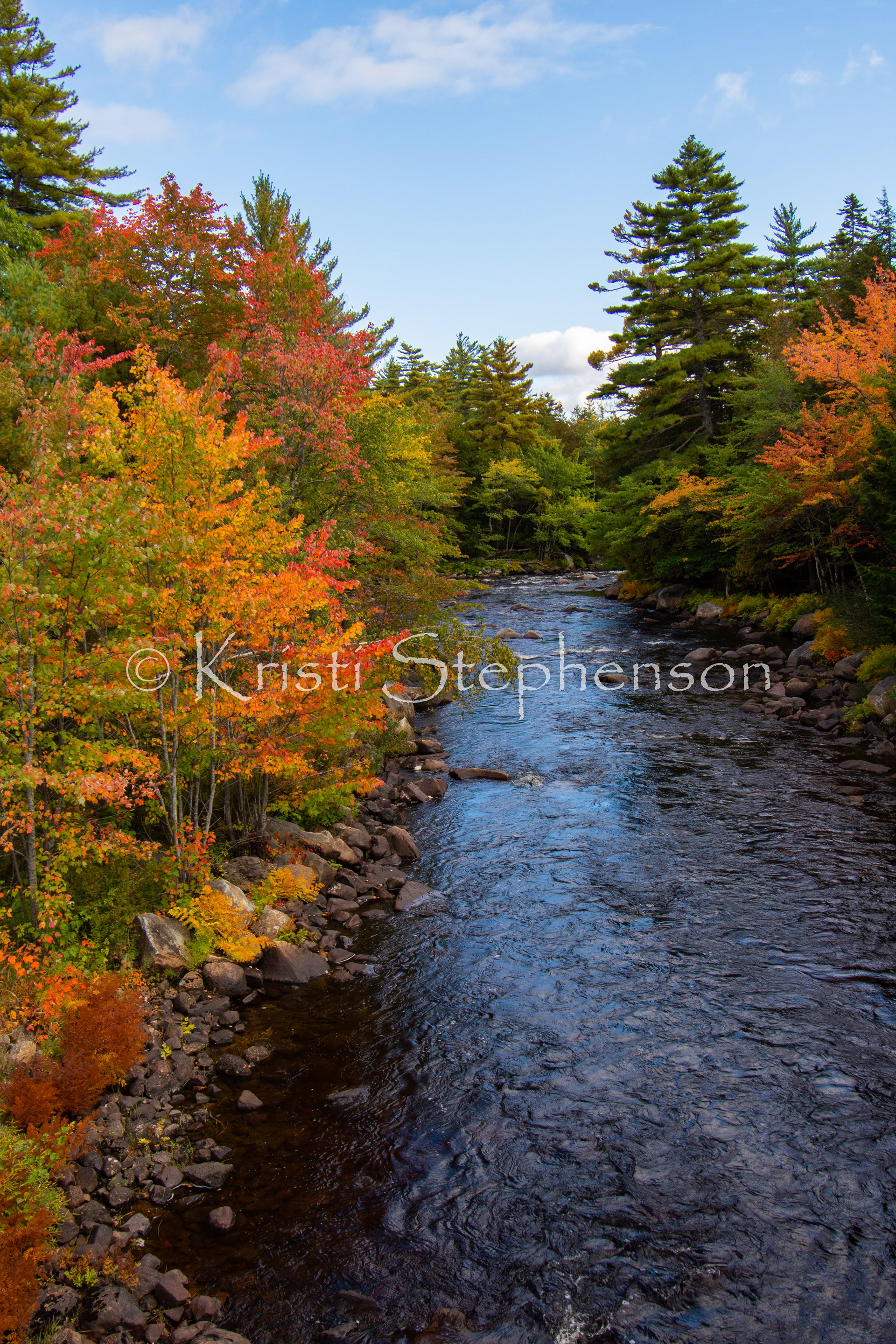 Fall Foliage, Maine - 2