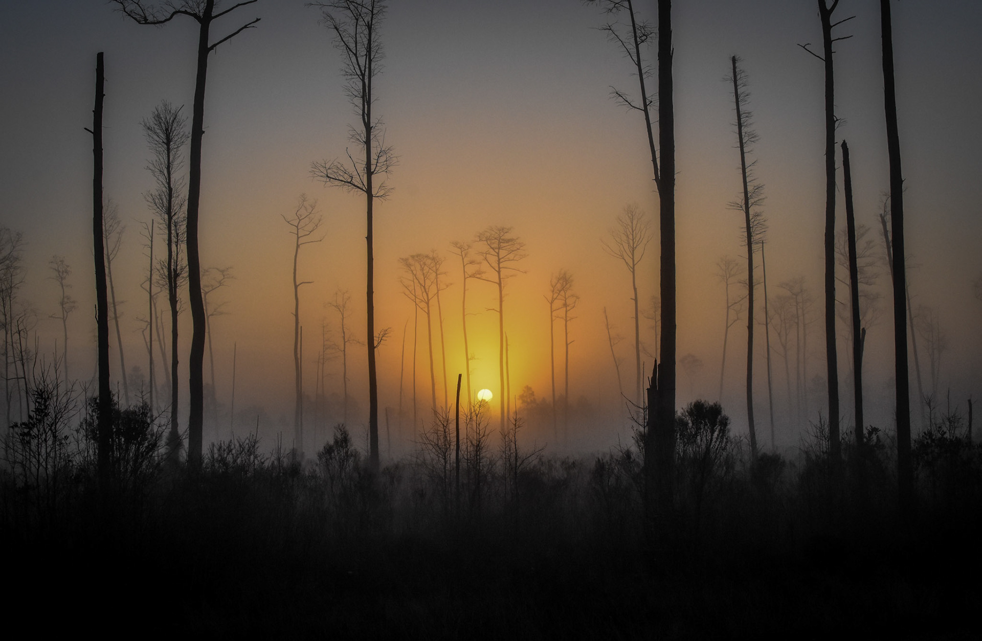 Look what you can find when you get up just a little bit earlier.