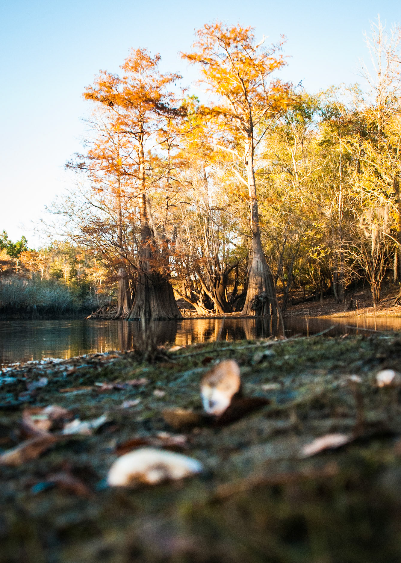 Fishing in Boones Lake