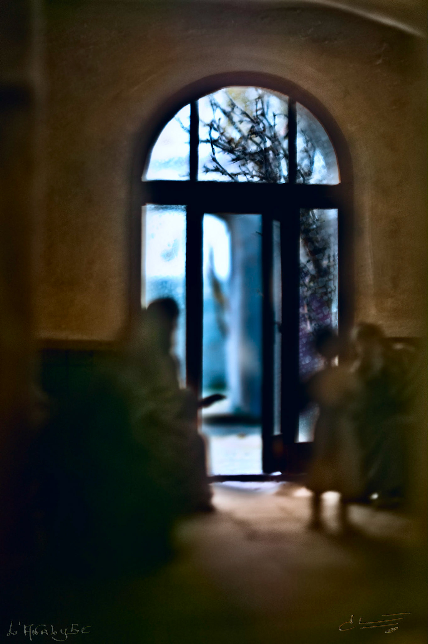 L' analyse, 2009