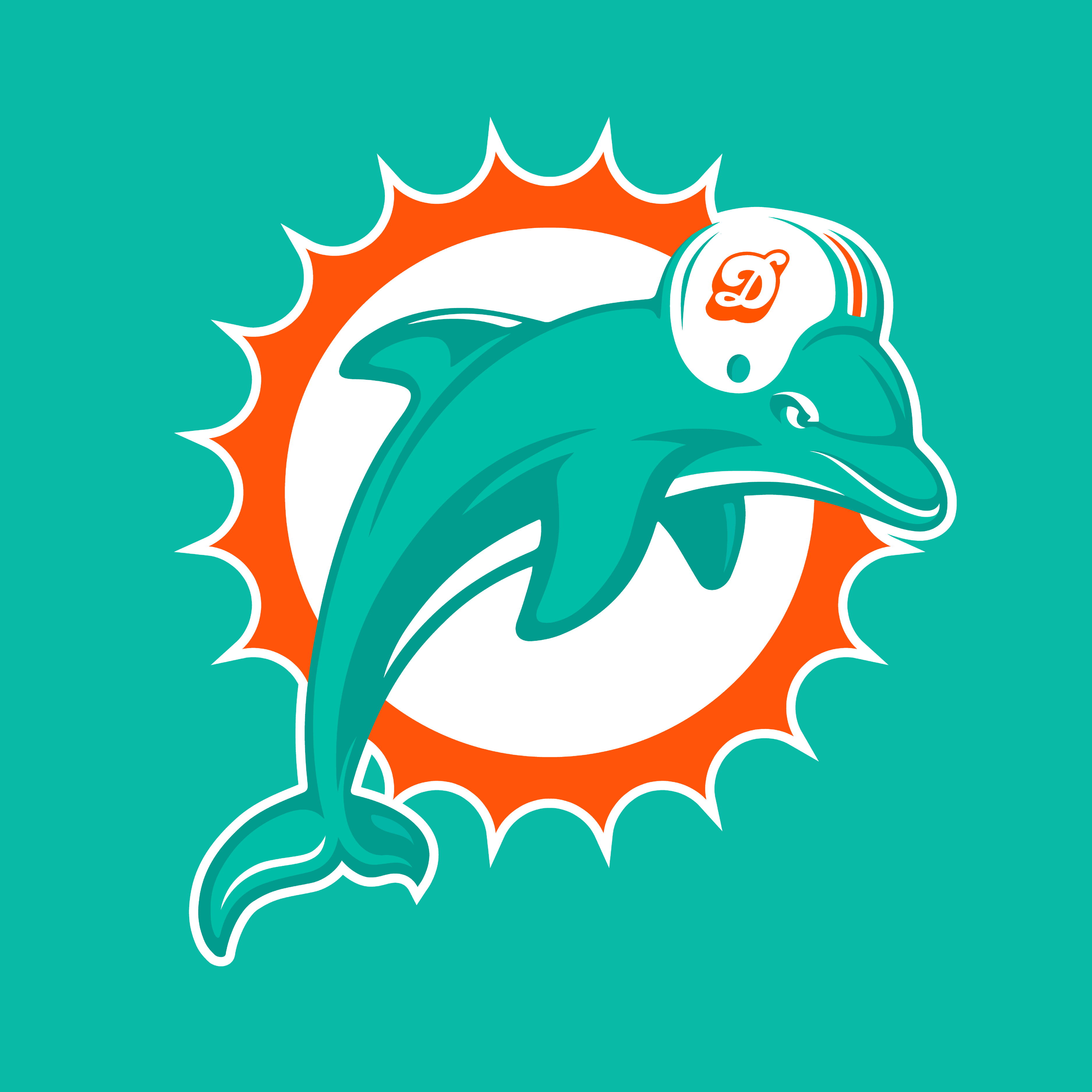 Brad Wolf Design - Miami Dolphins Rebrand Concept