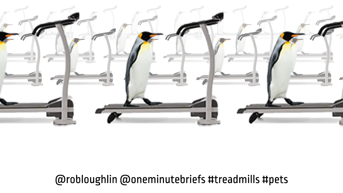 #TREADMILLS #PETS