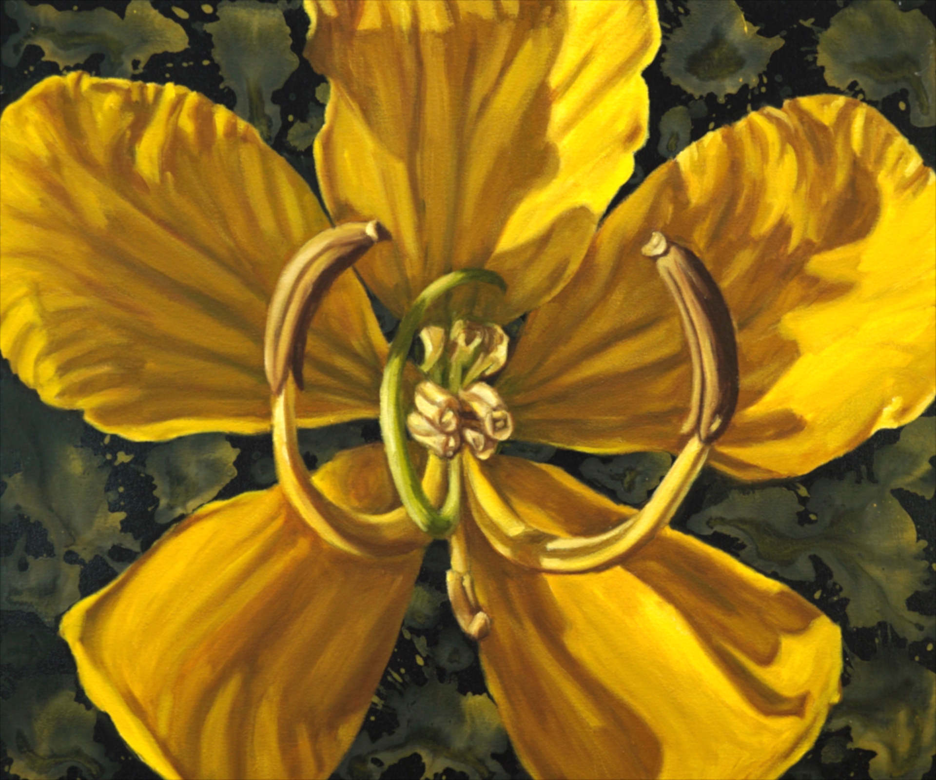 Argentine Senna