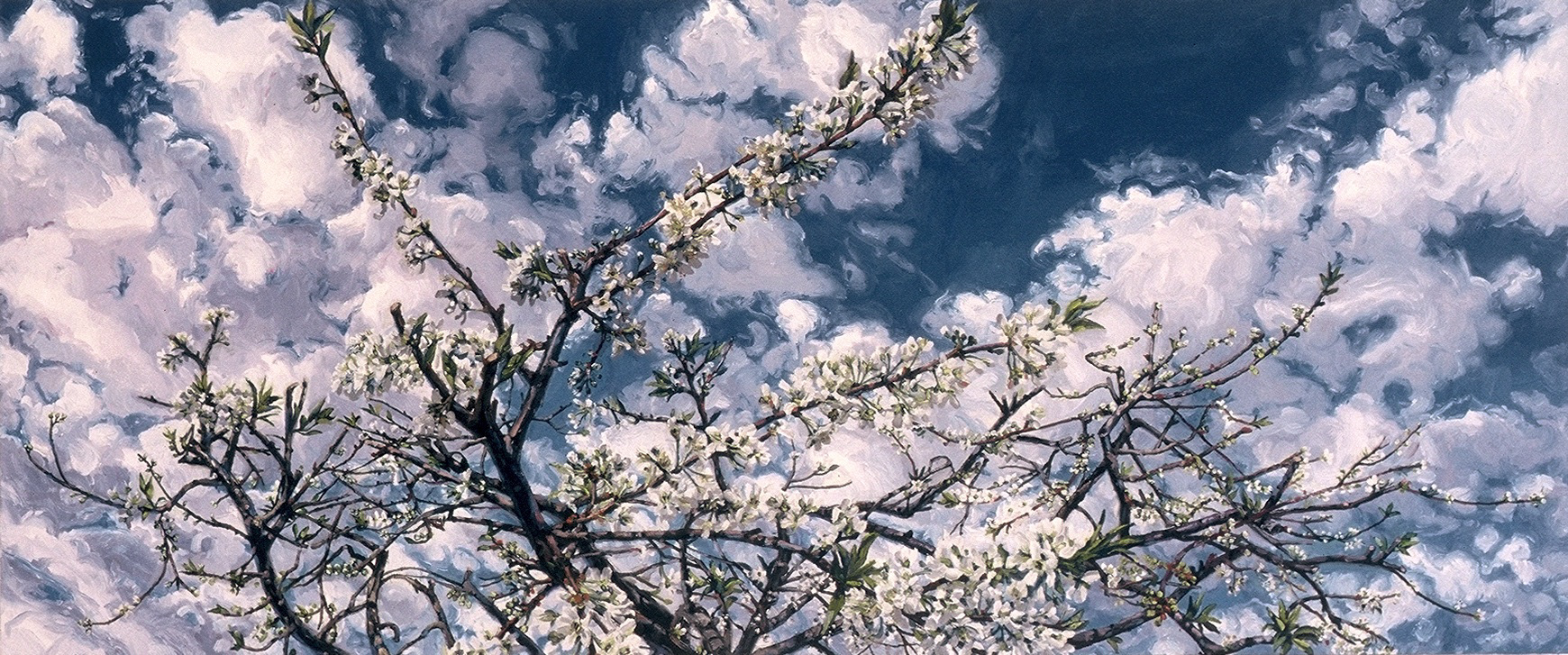 Blanch, oil on canvas, 25in x 59in, 2002