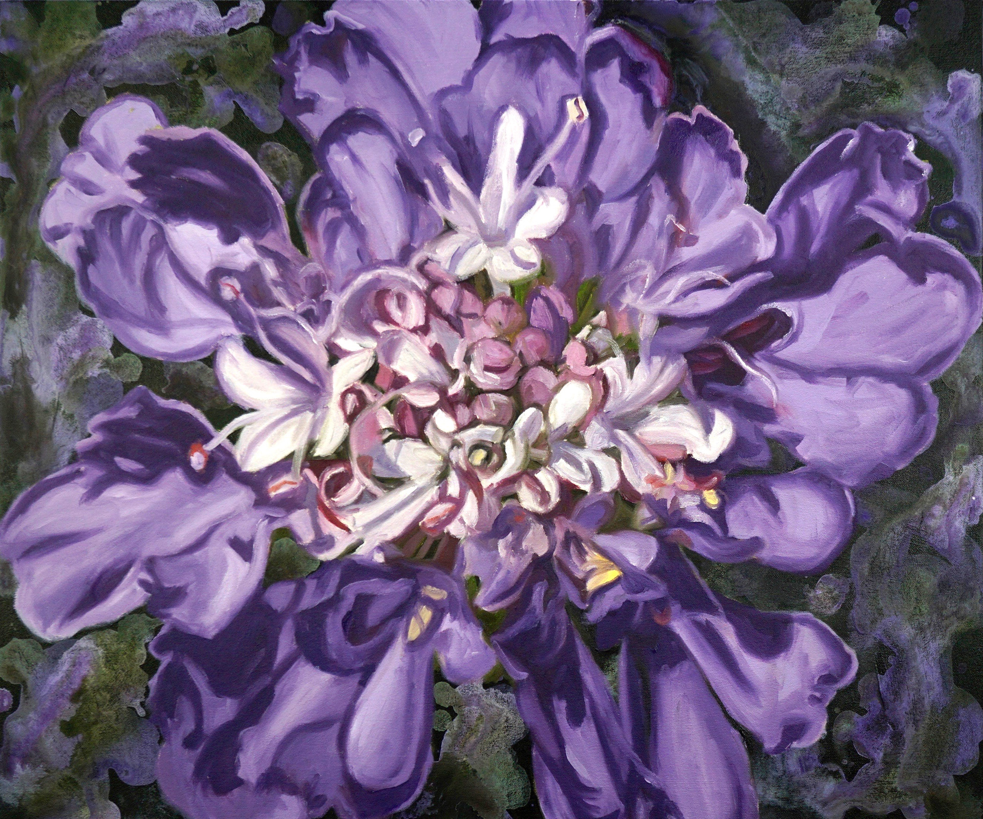 Mariposa Blue
