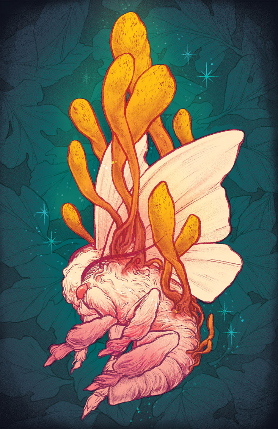 "Silk Moth and Cordyceps"