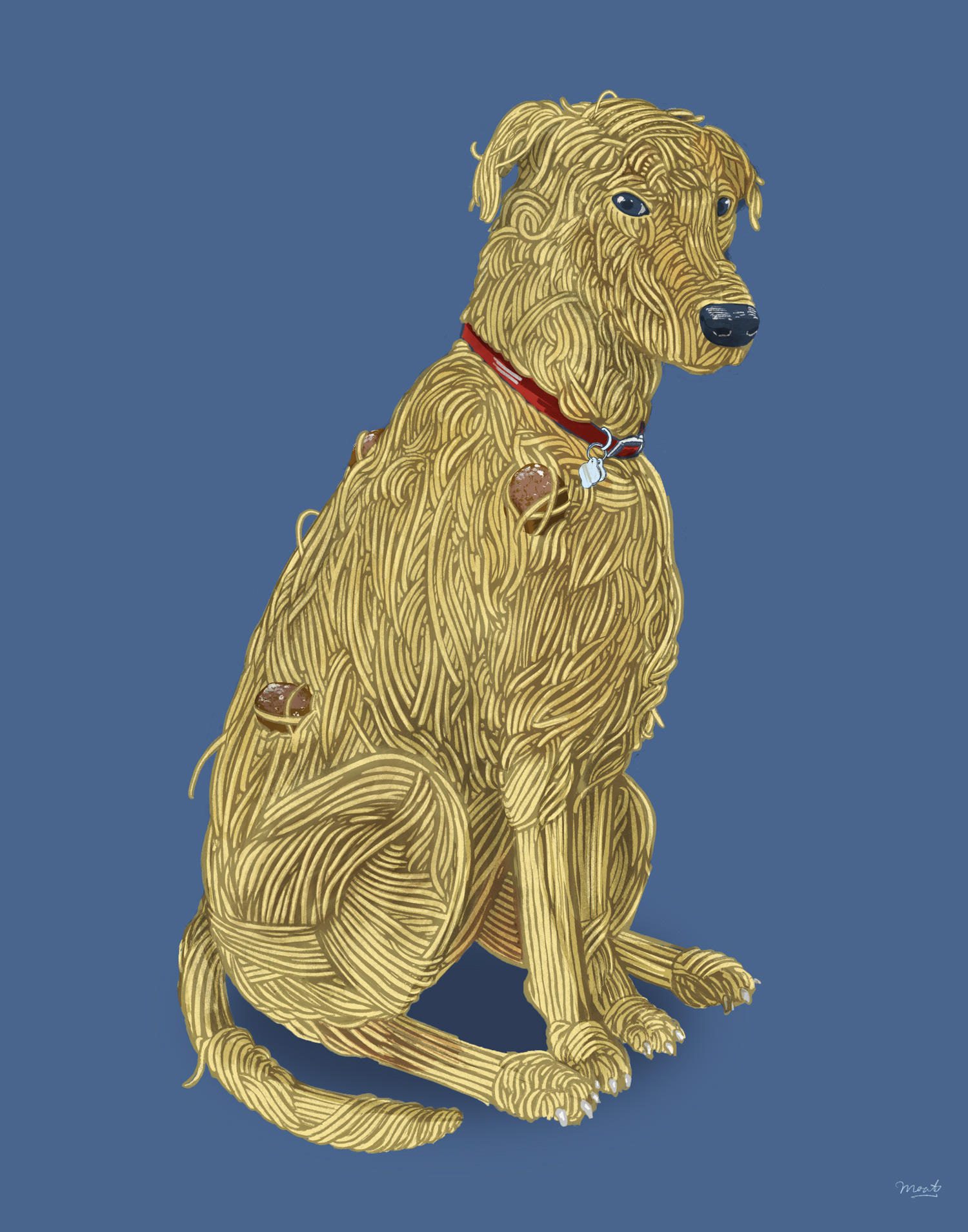 Pet Portrait - Spaghetti