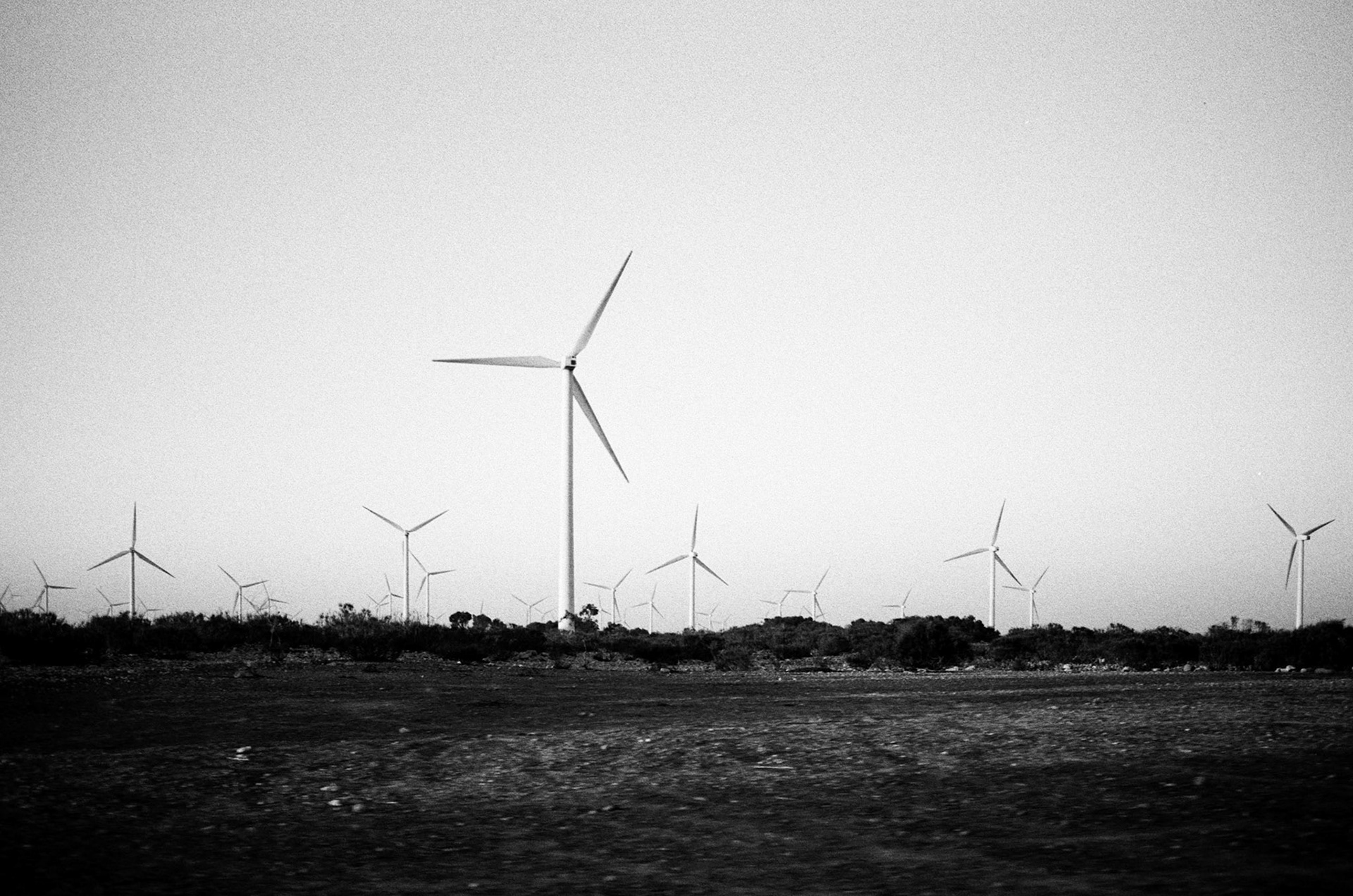 Wind turbines in Cap Sim near Essaouira in Morcocco on March 2020