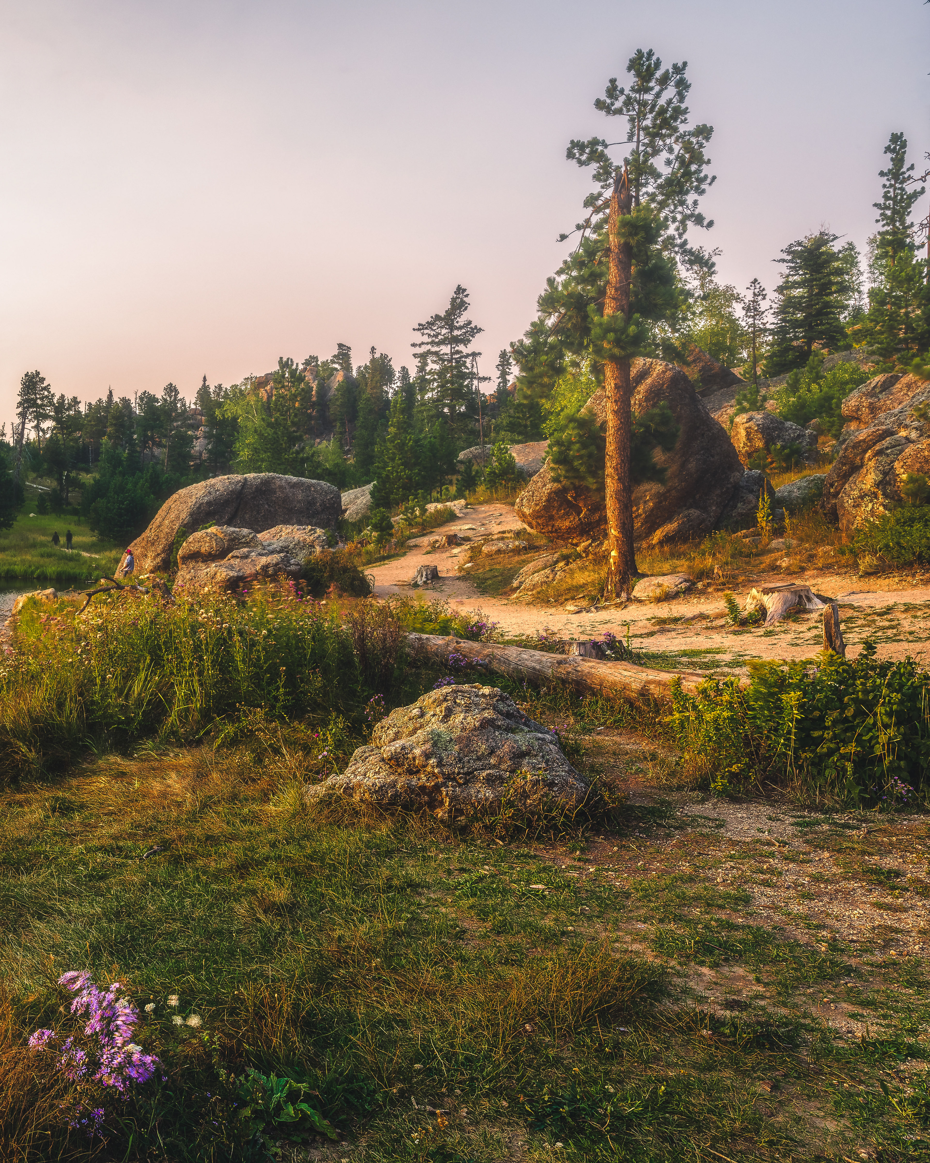 Custer State Park