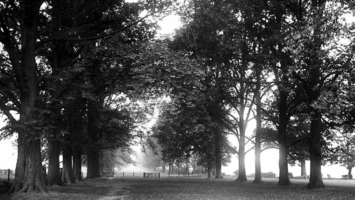The Long Walk
