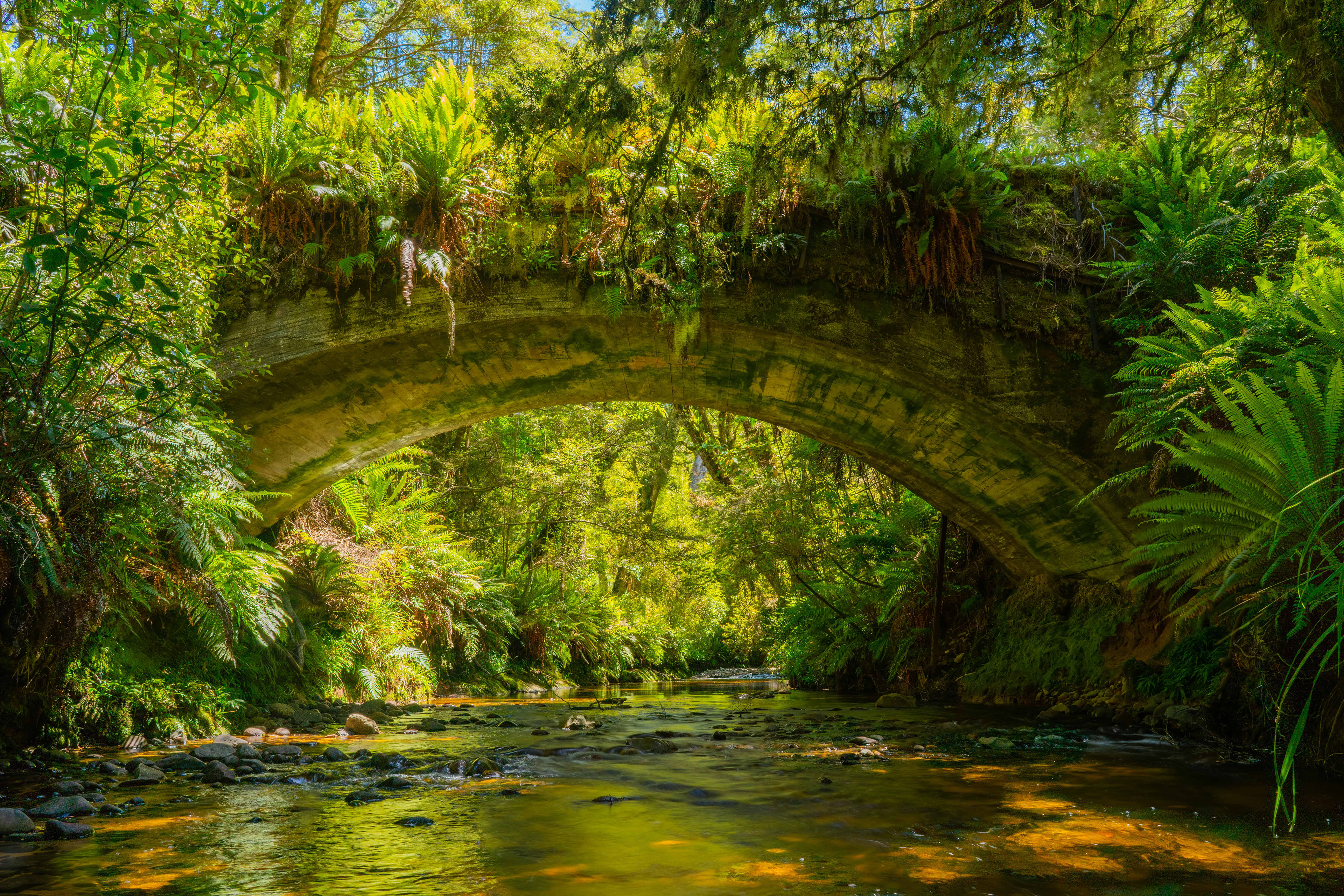 A tramway bridge over in the Pourakino Valley, New Zealand