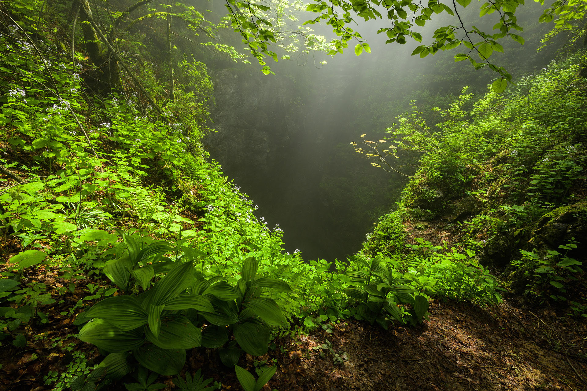 Avenul Borțig | Parcul natural Apuseni