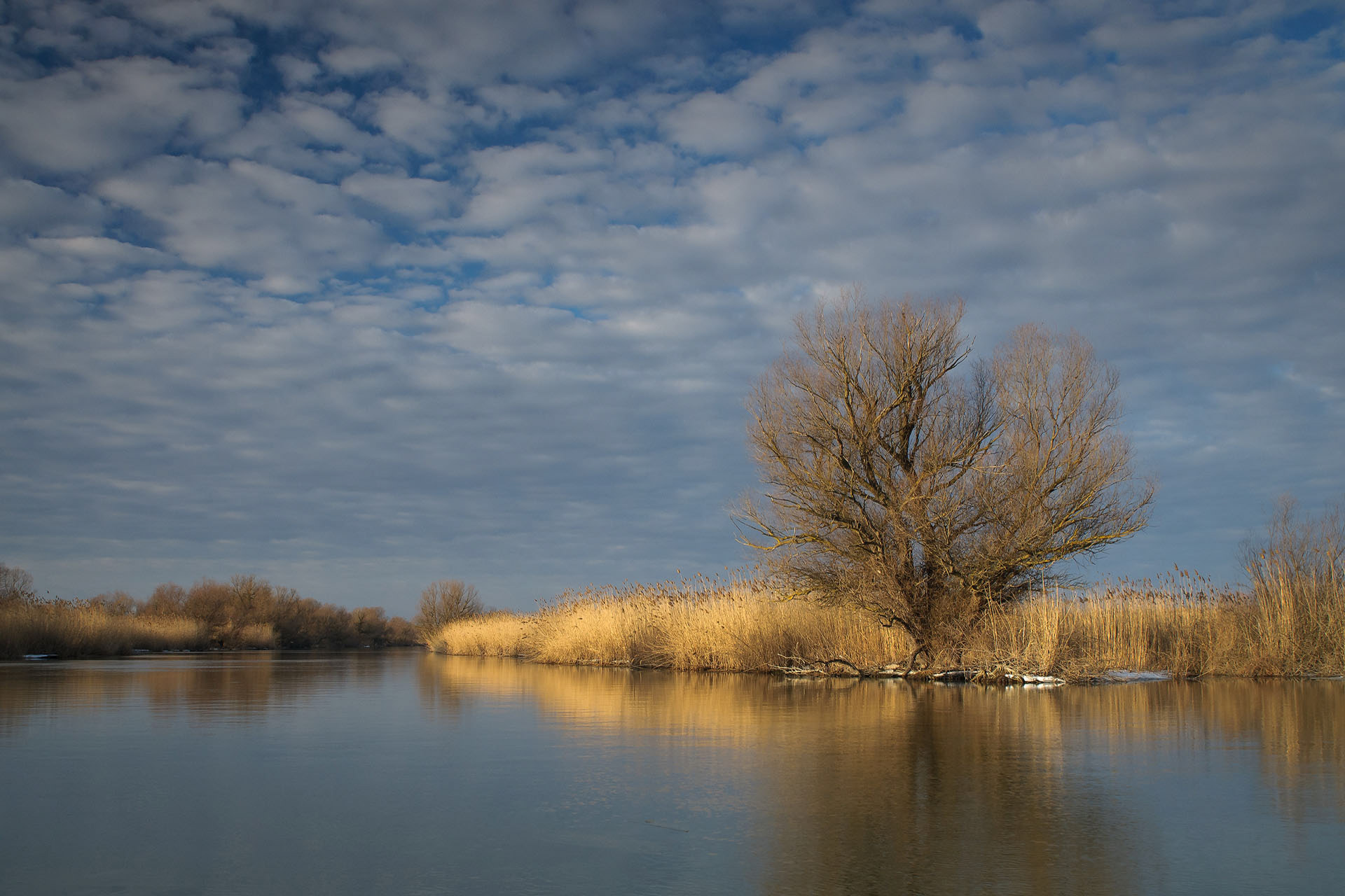 Delta Dunării