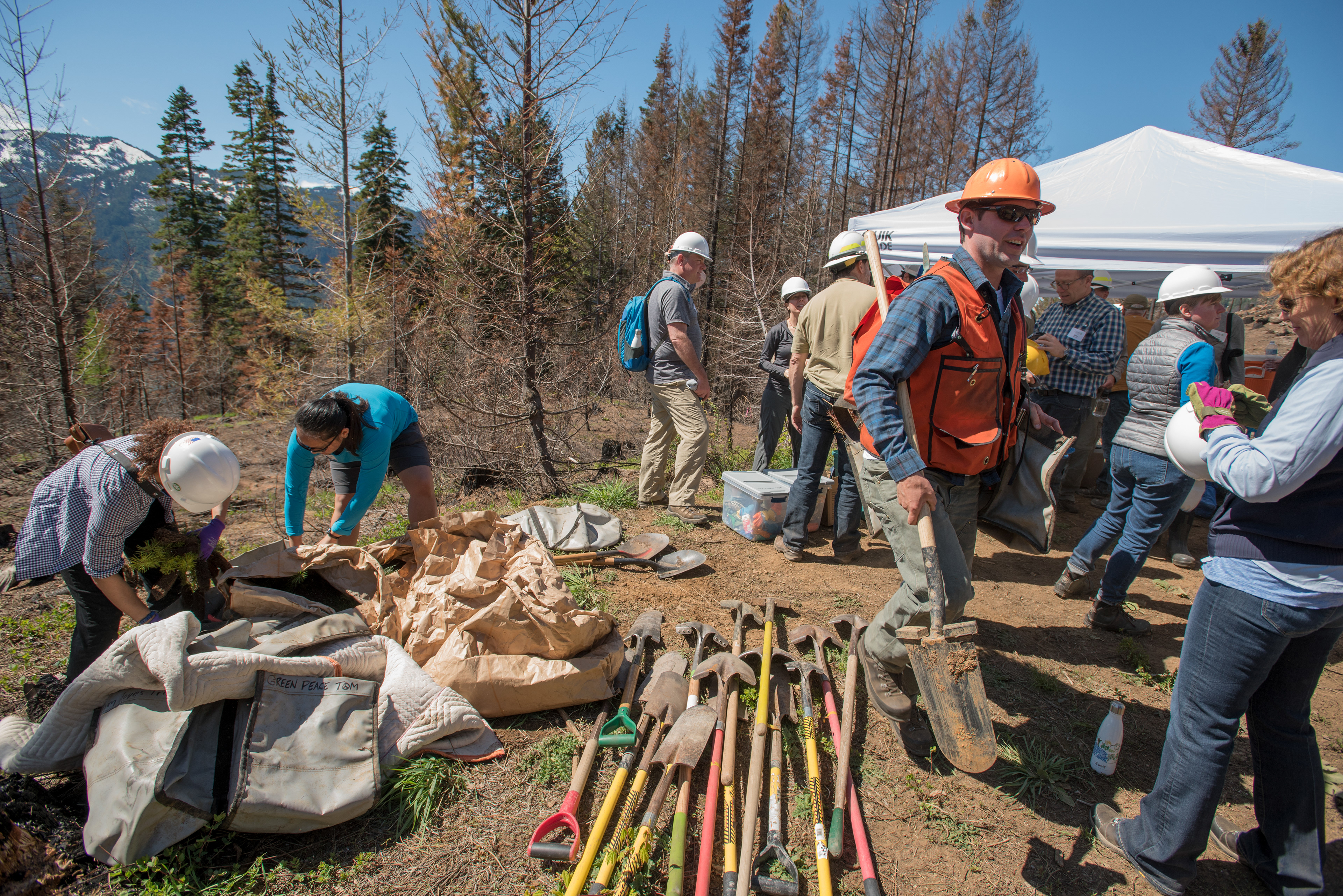 Hannah Letinich Documentary & Conservation Photographer Roslyn Tree Planting