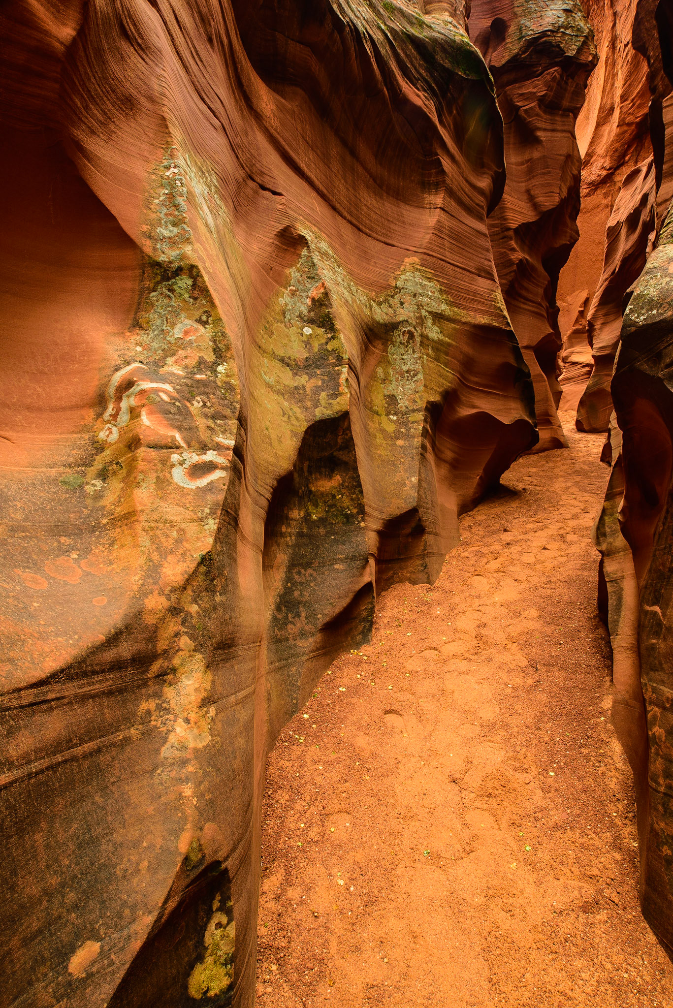 Secret Canyon