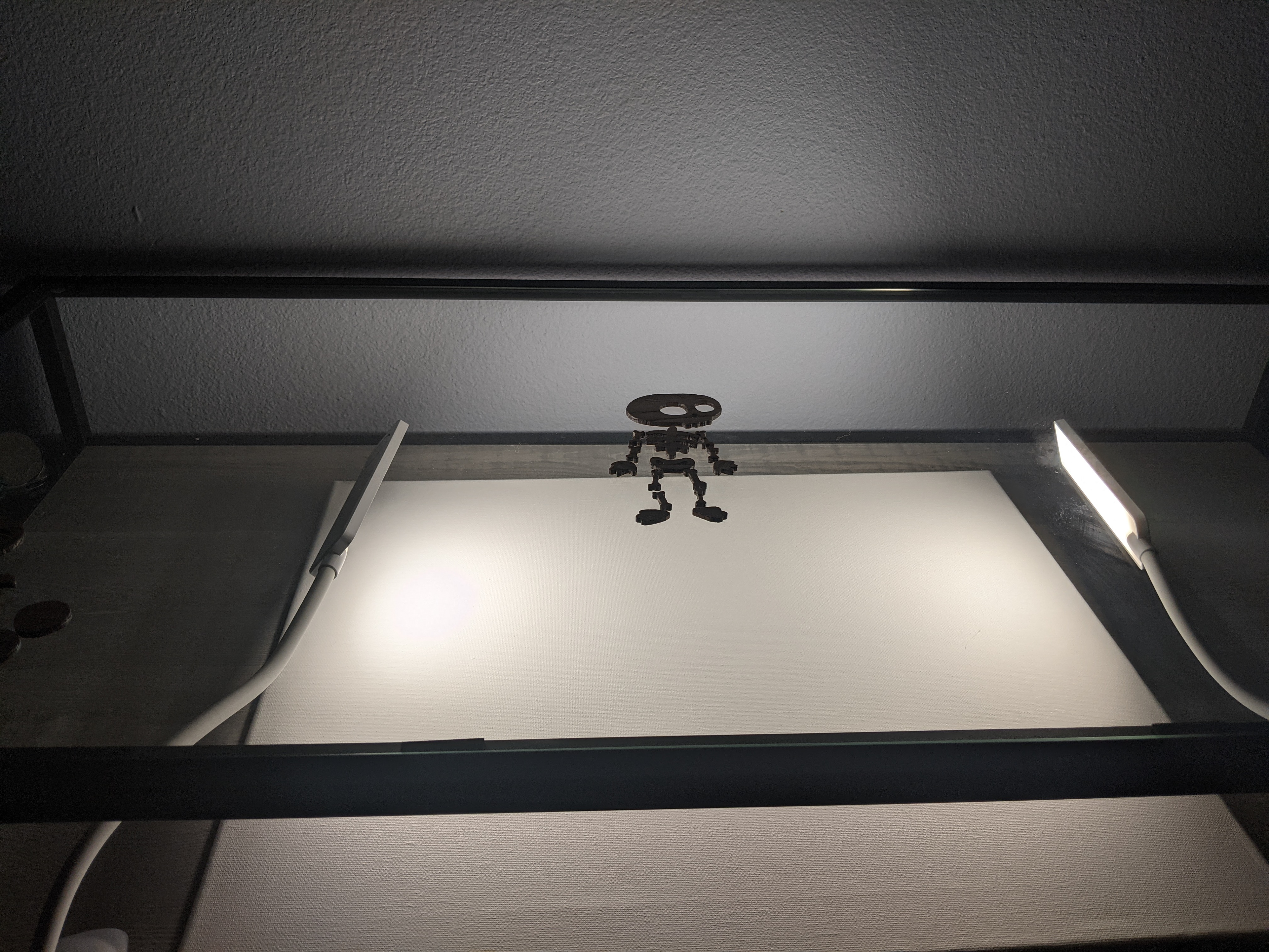 shooting back light!