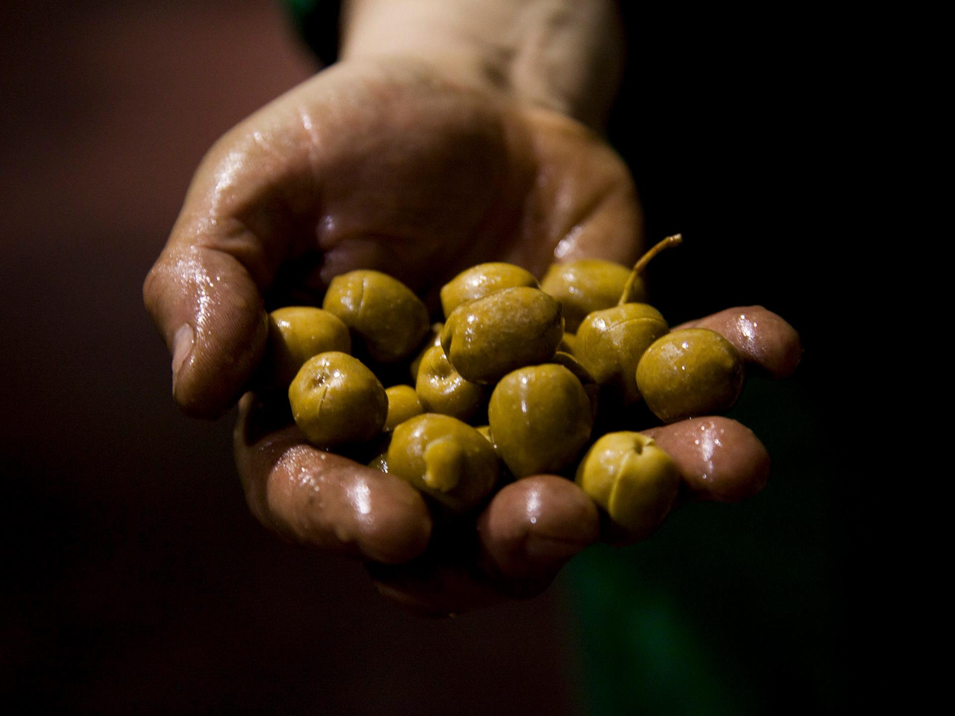 Olives at the stone pressing