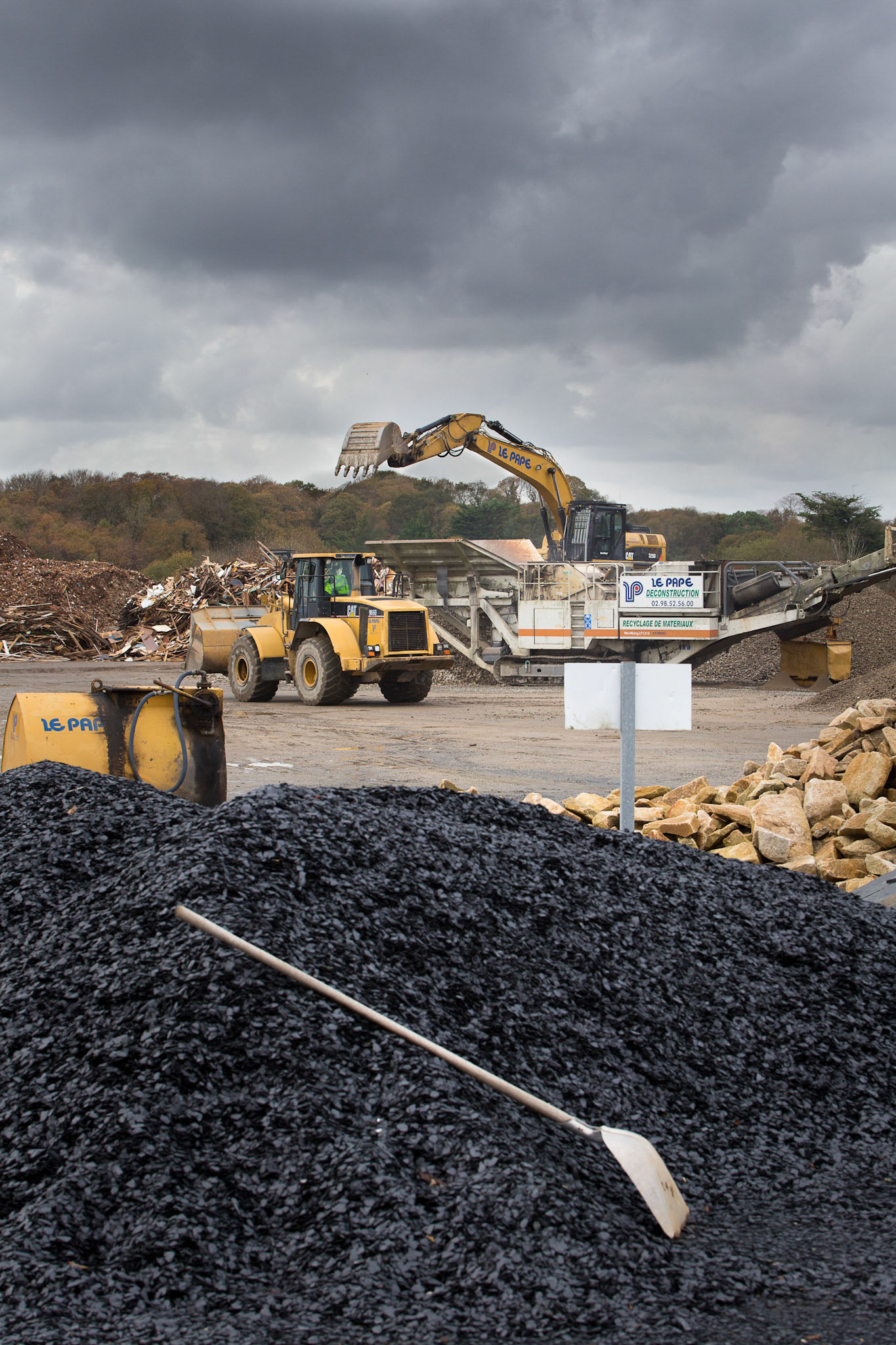 Le Pape Environnement.