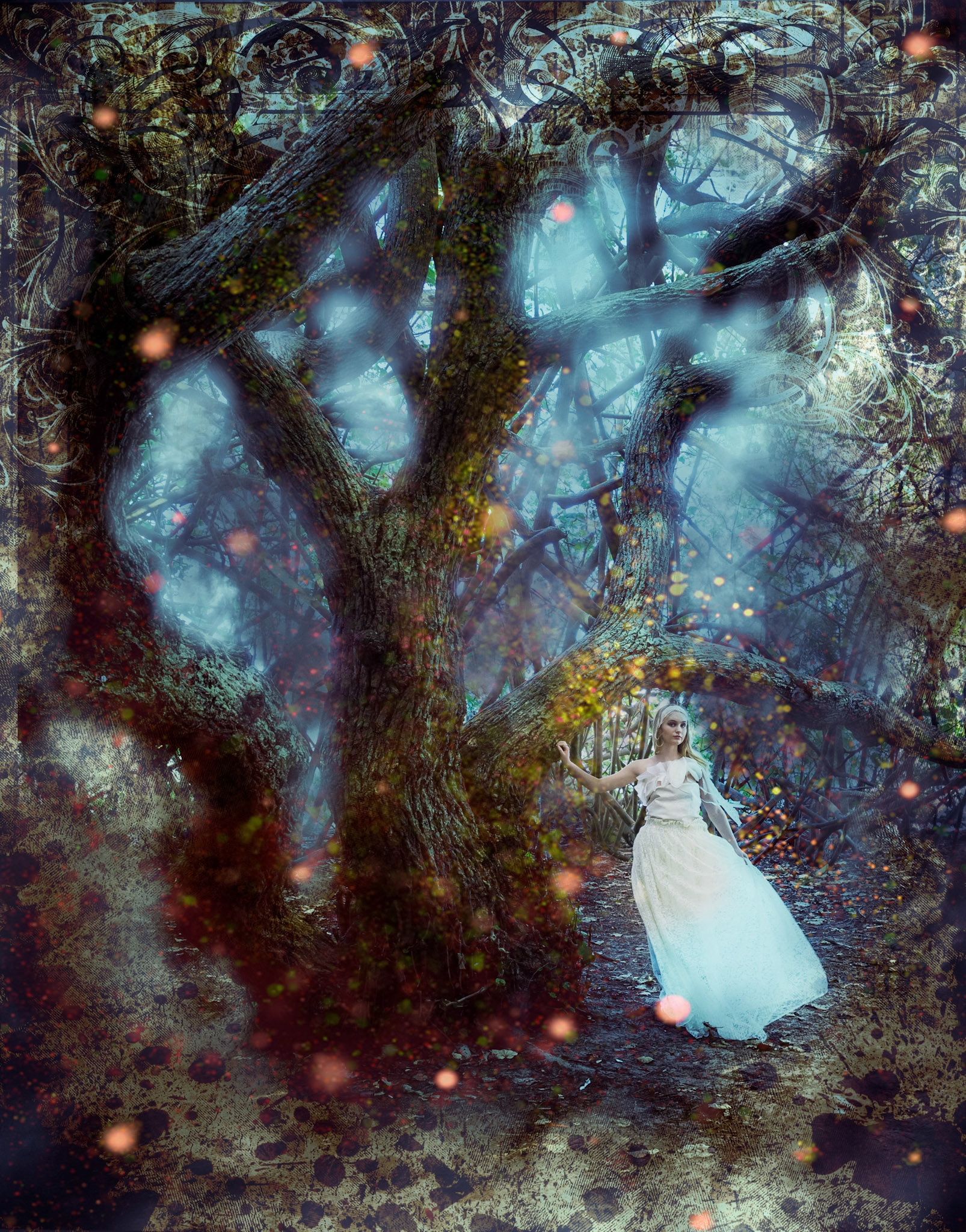 Beneath the Dreaming Tree