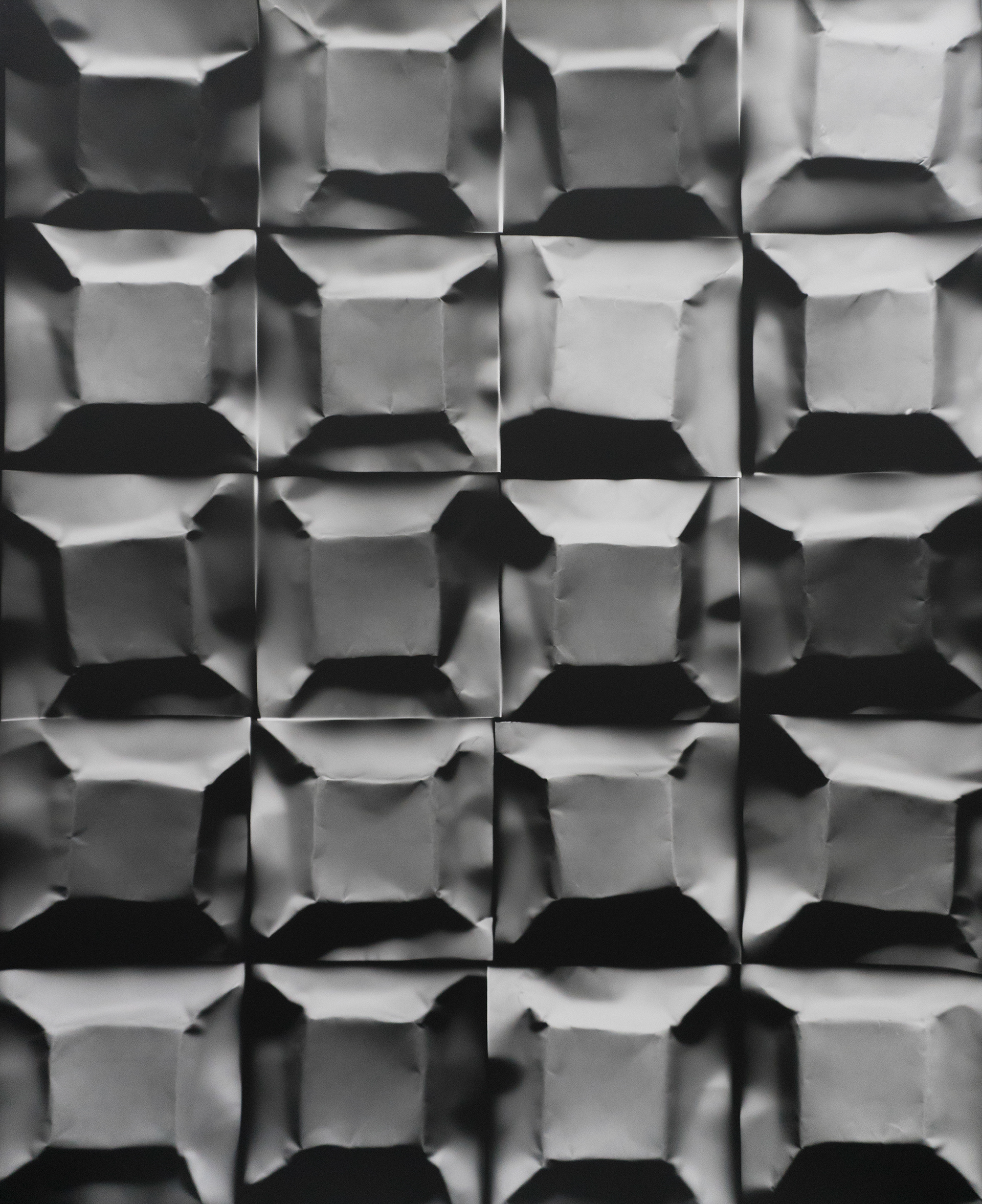 Jack and Daphne's Travels to Klamath Falls, 2018, unique photogram, 20"x16"