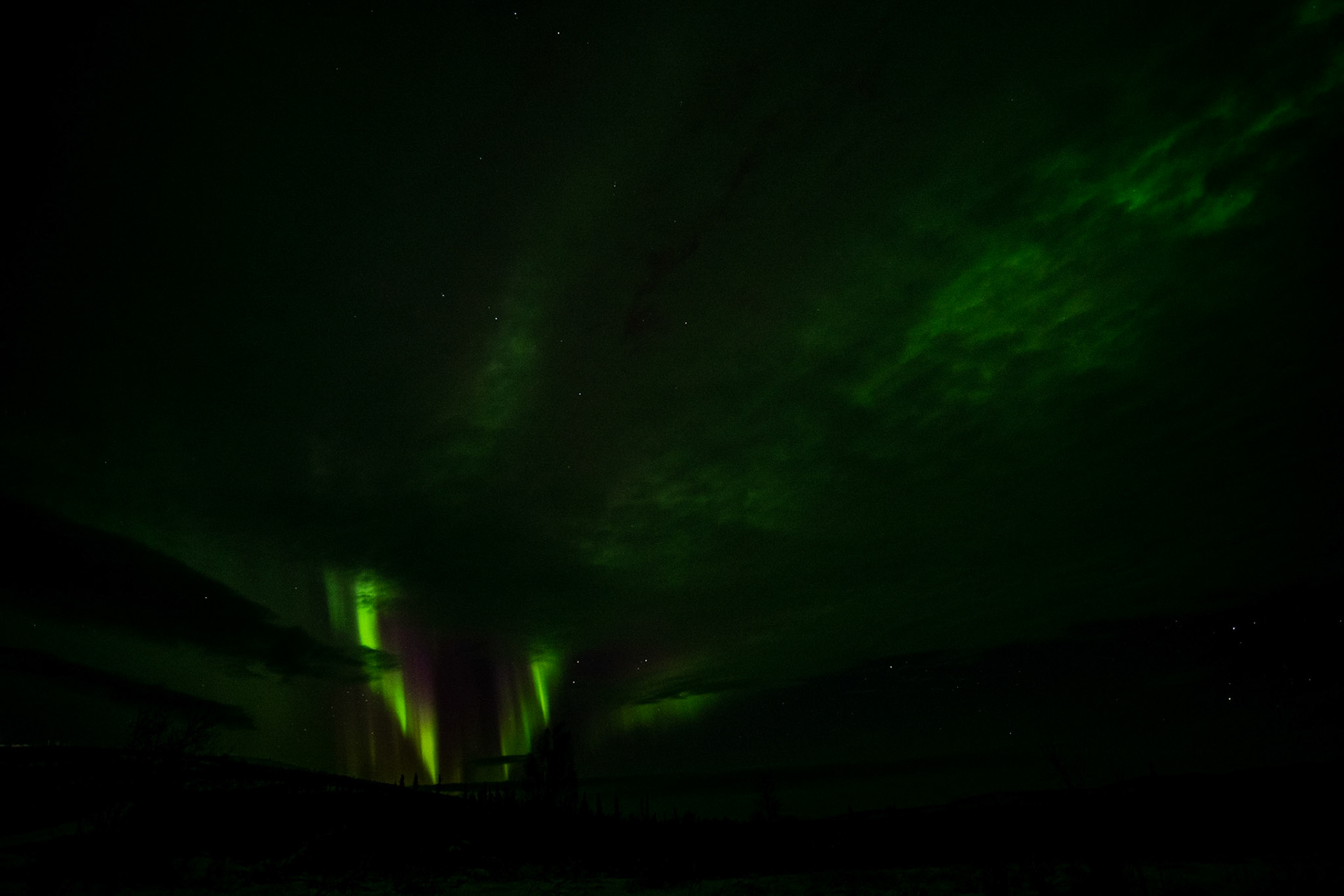 Aurora borealis at Murphy dome