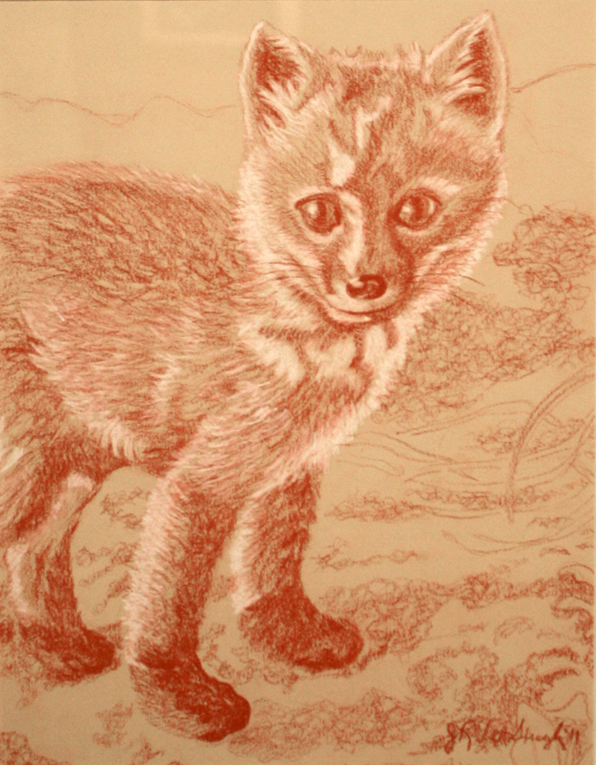 Fox Kit