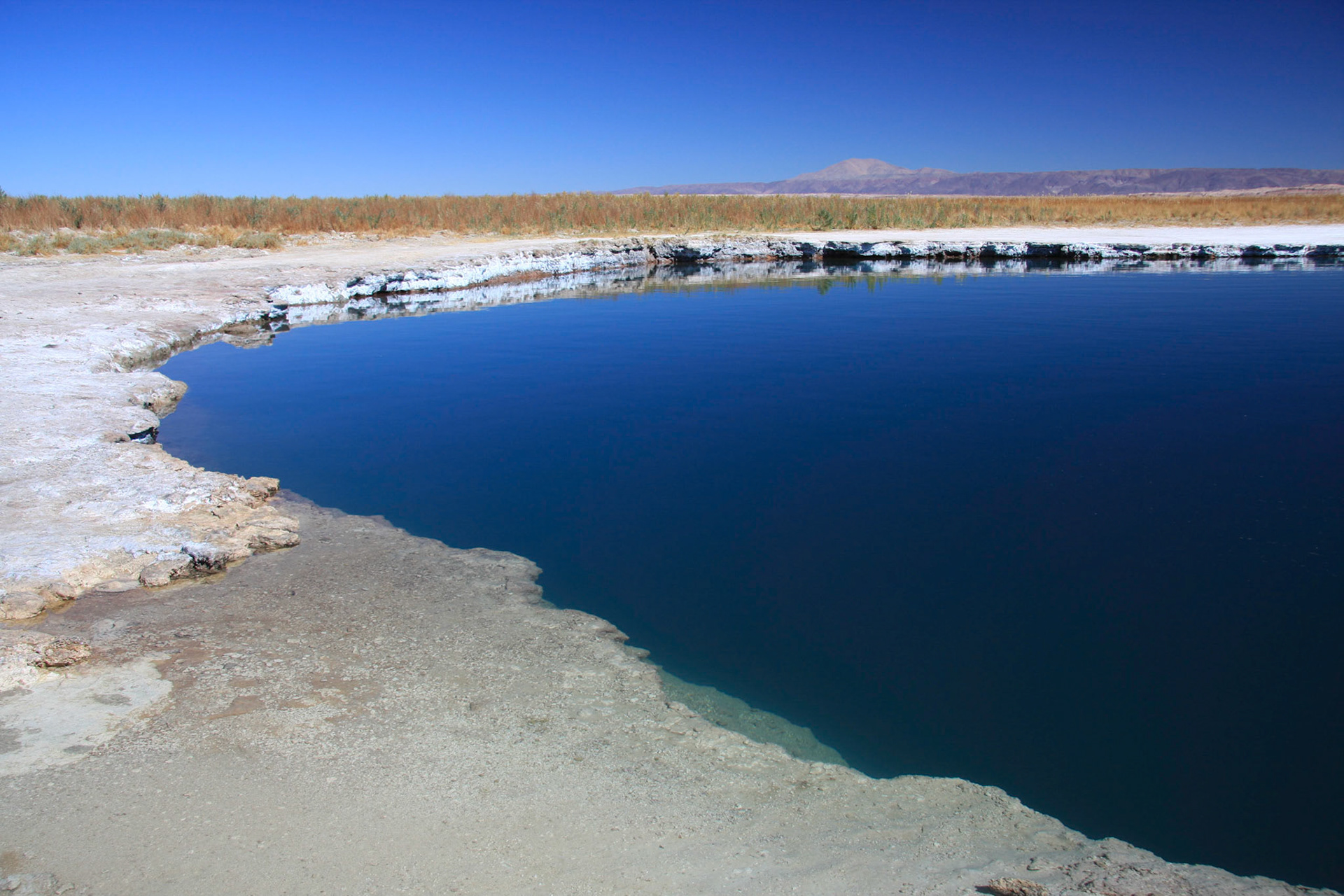Cejar Pond (5x more salt than the sea)