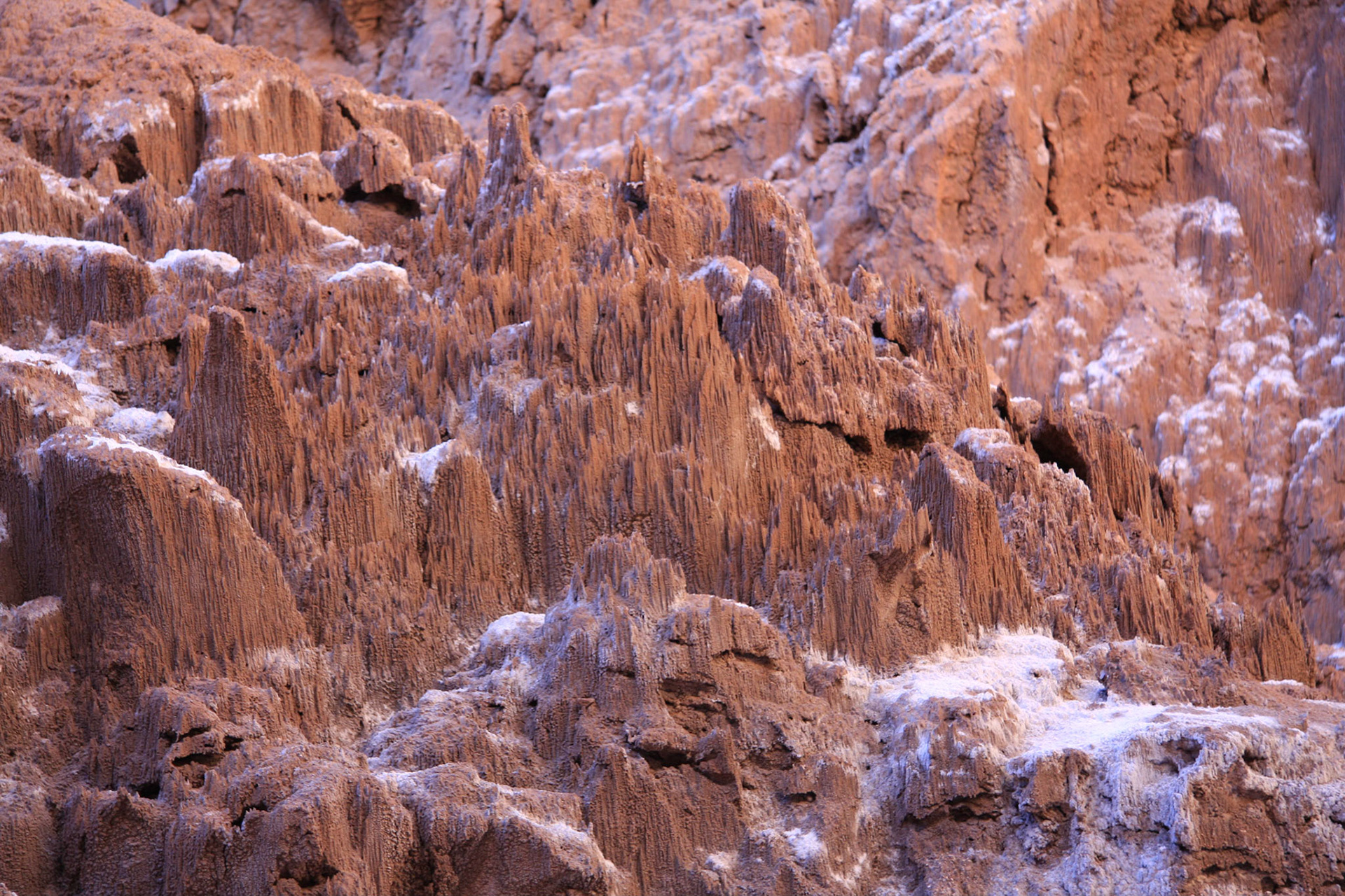 Salt! (covered in dust)