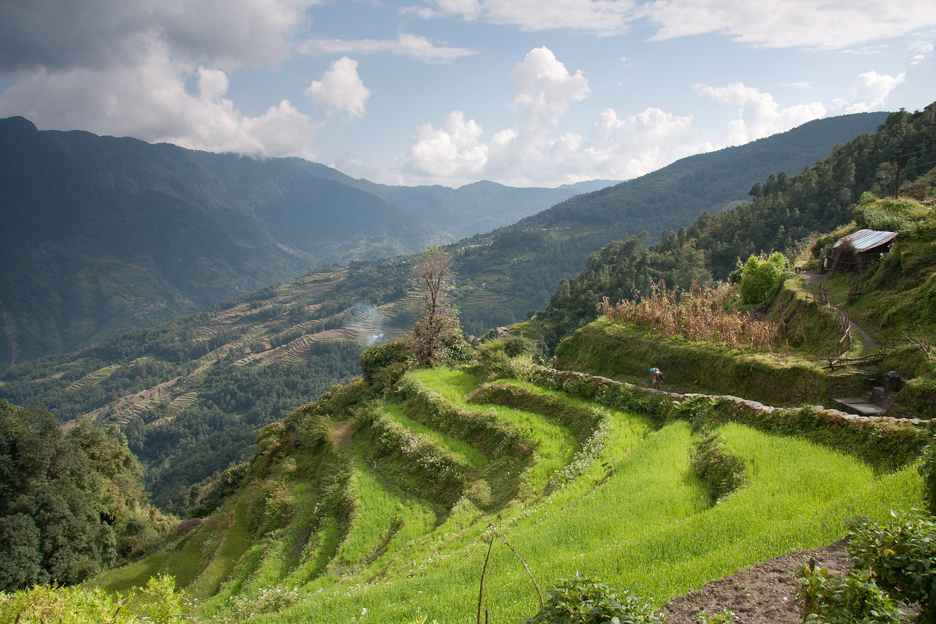 View towards Ghandruk from Komrong