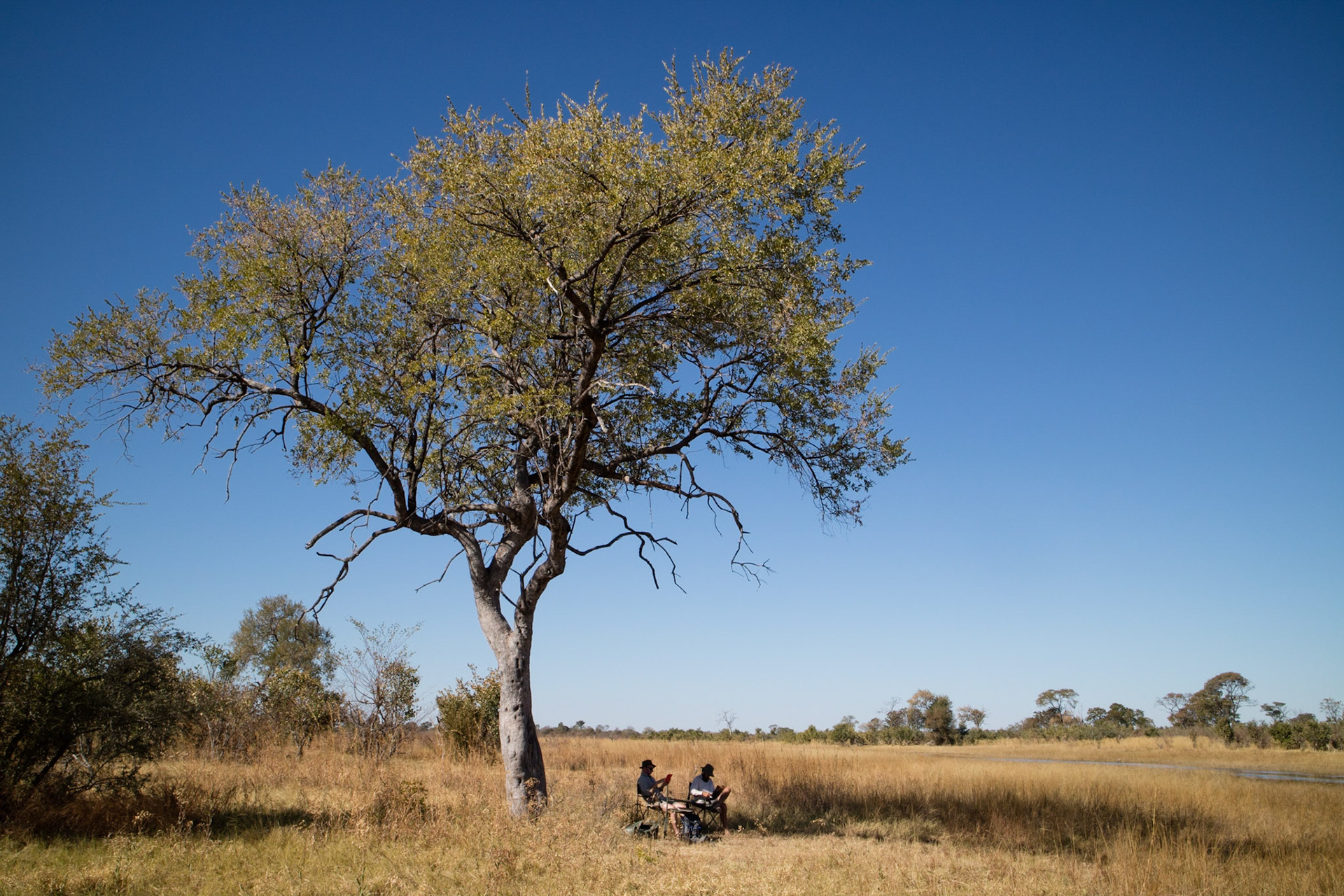 "Chill out time" after lunch, in the shade of a tree