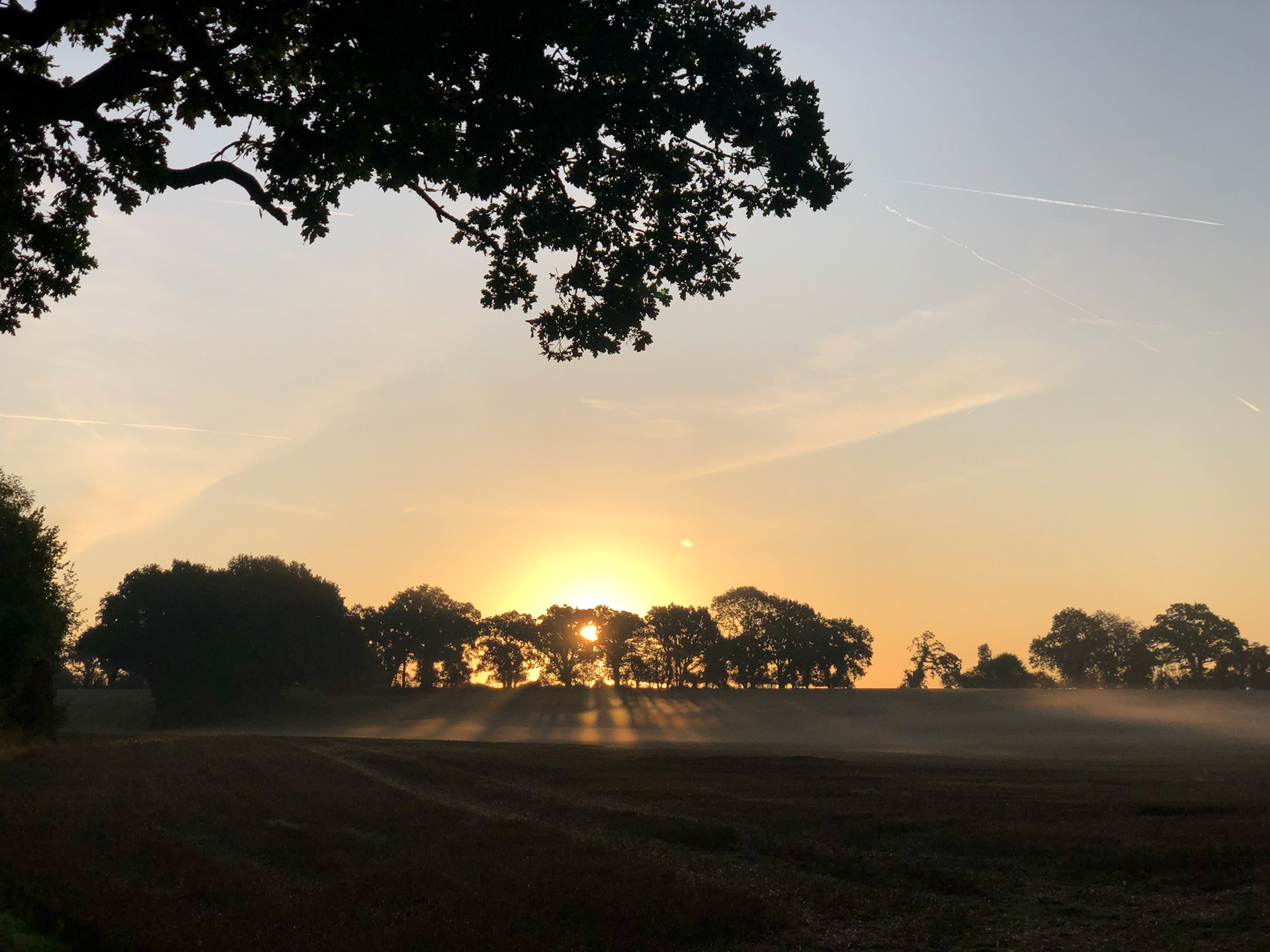 Sunrise along the Test Way