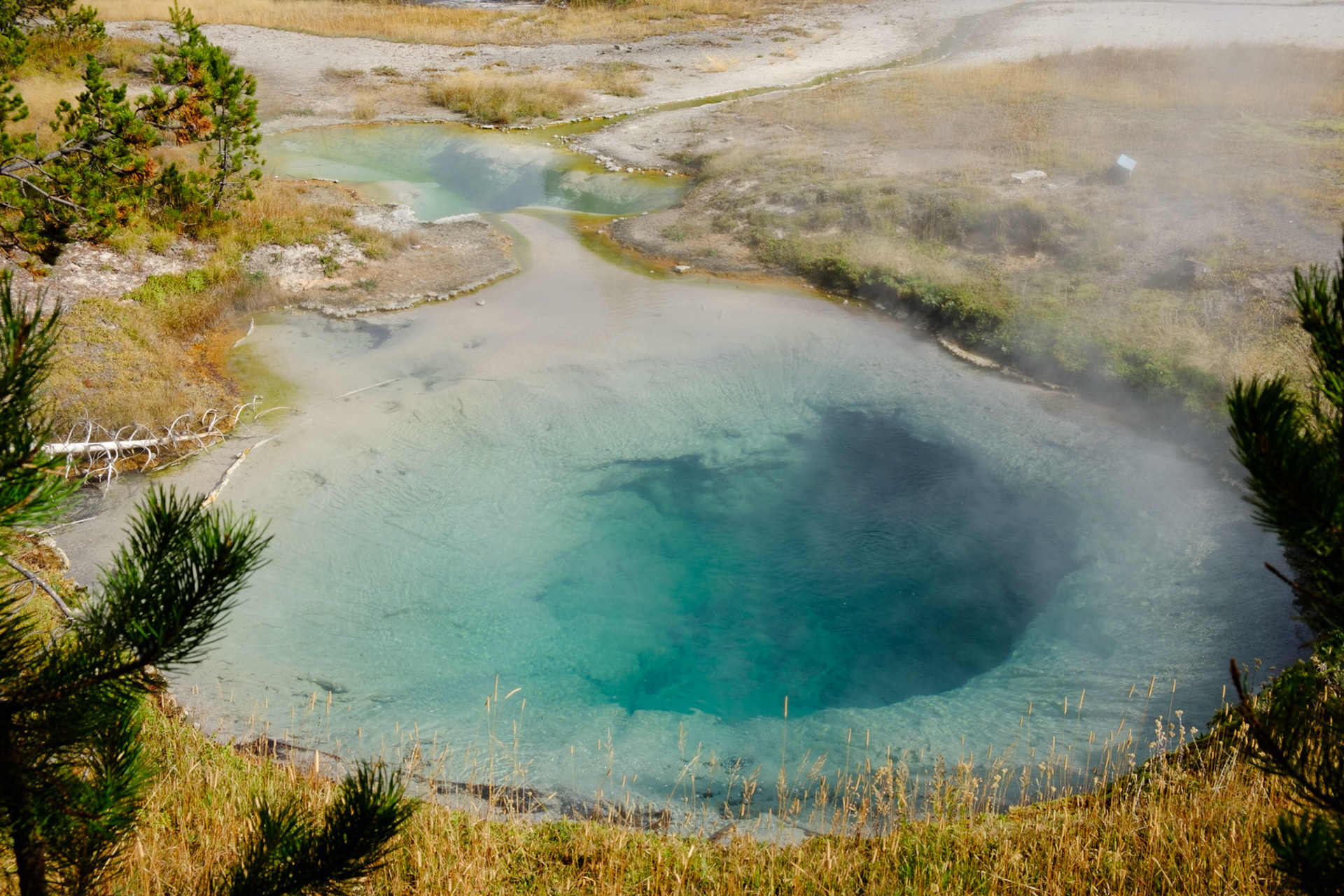 West Thumb hot springs